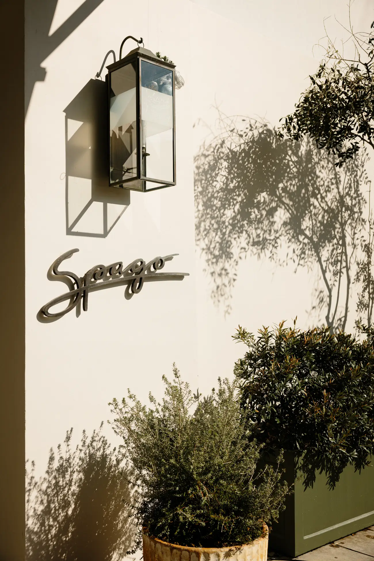 Spago