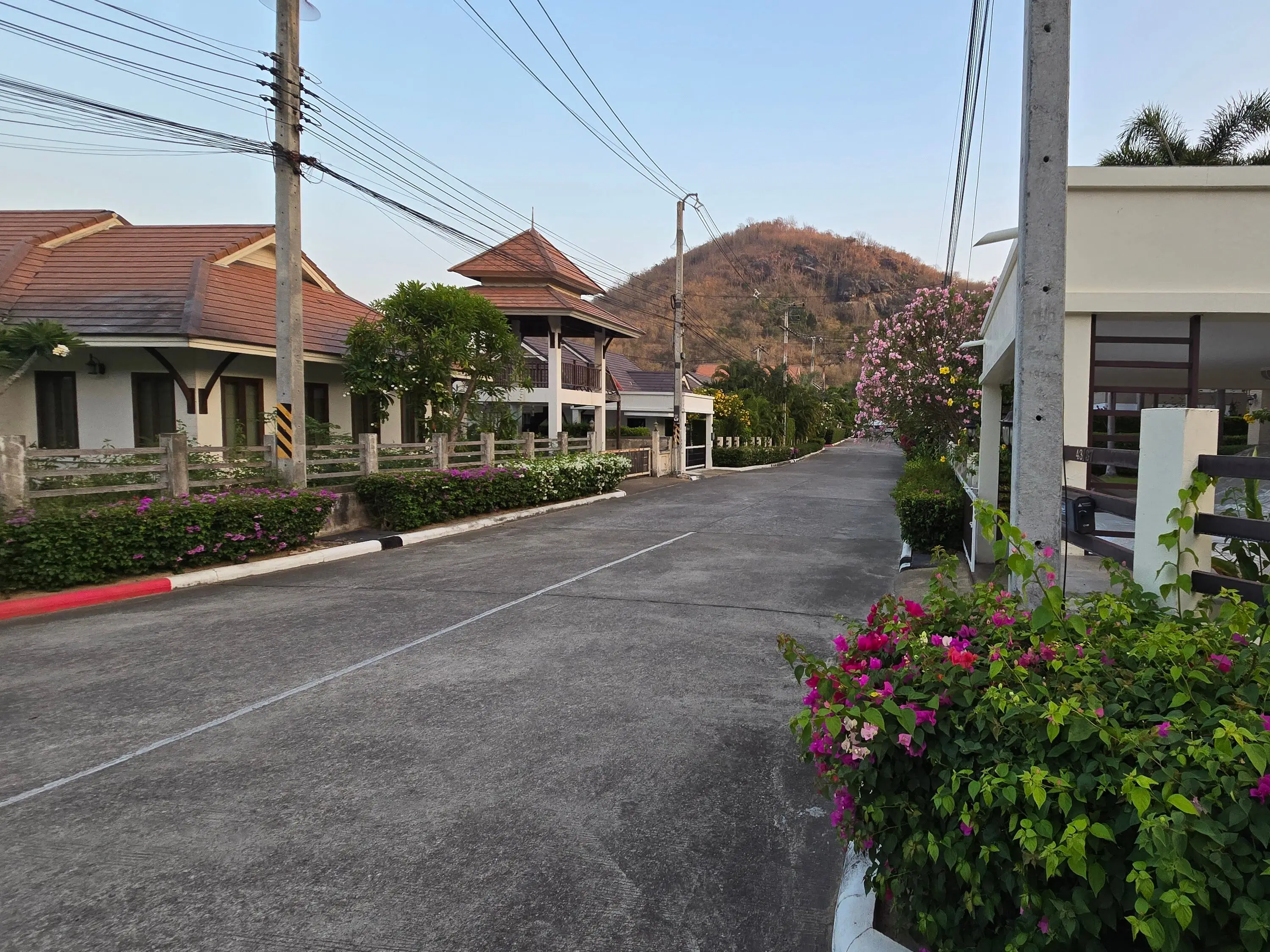 The neighborhood.