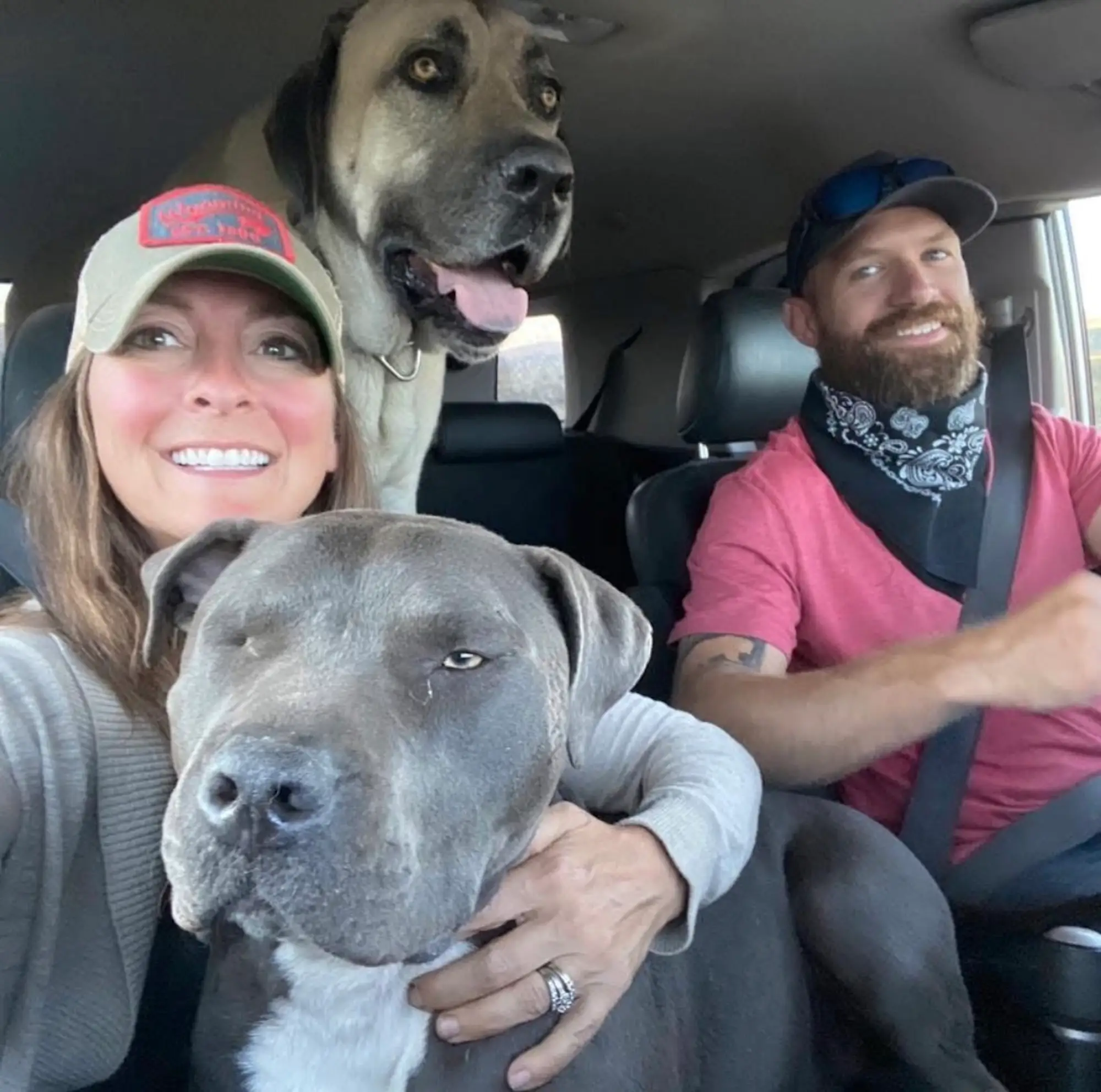 A selfie of a couple and two dogs in a car.