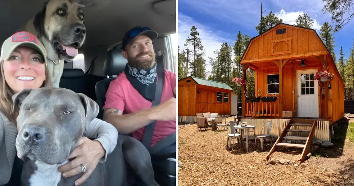 A couple bought a 380-square-foot shed for $12,000 and turned it into a tiny home they share with their 3 dogs