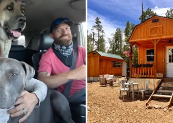 A couple bought a 380-square-foot shed for $12,000 and turned it into a tiny home they share with their 3 dogs