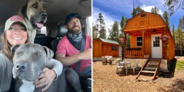 A couple bought a 380-square-foot shed for $12,000 and turned it into a tiny home they share with their 3 dogs