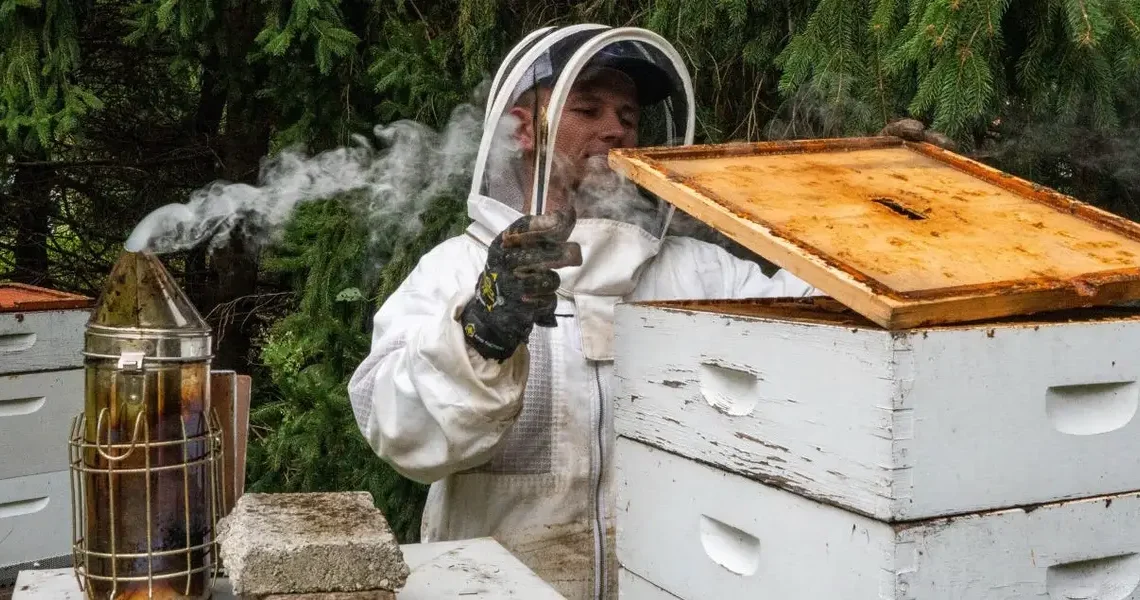 A college student is funding his tuition by raising bees and selling honey: ‘This is the ultimate side business’