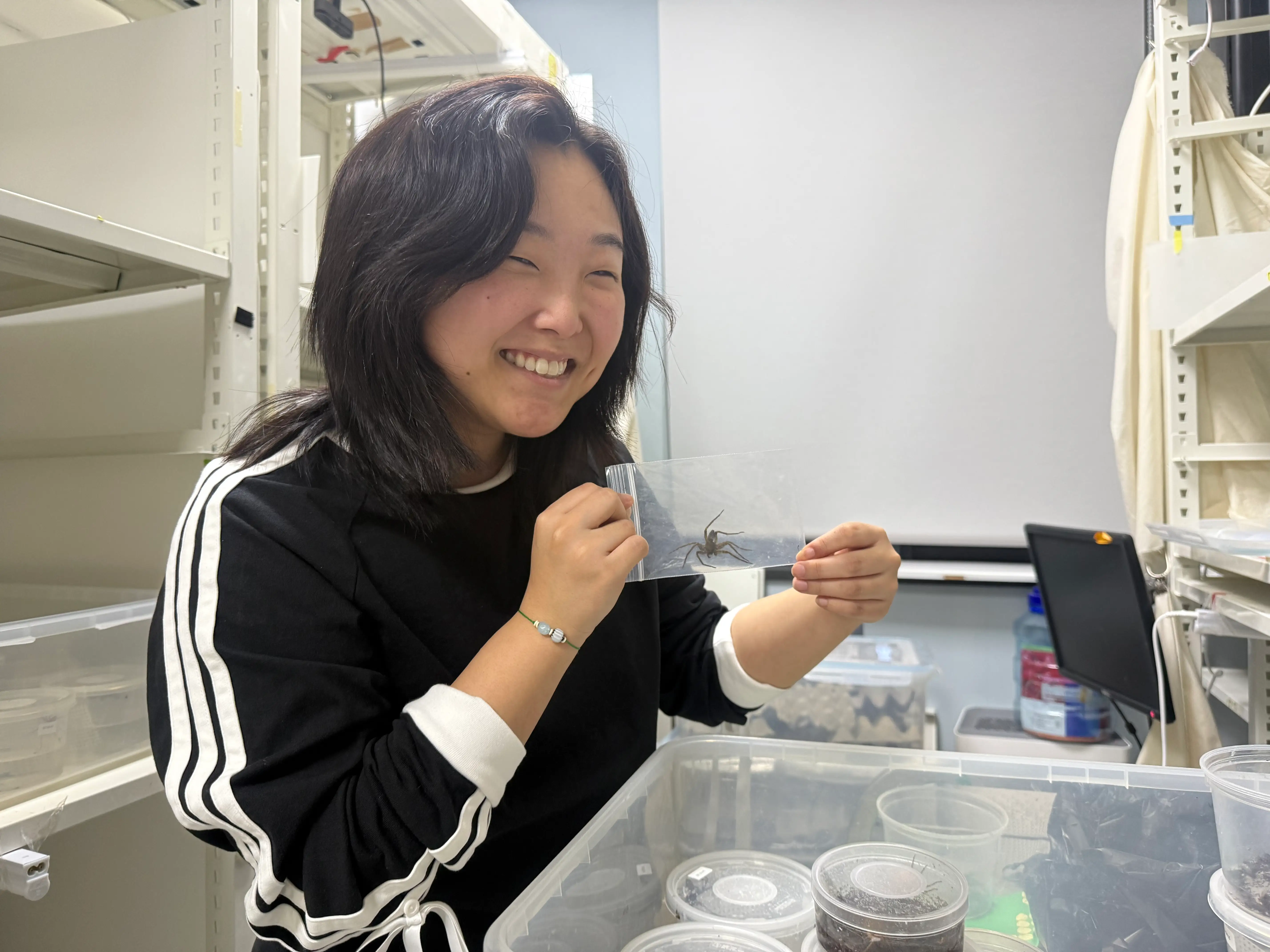 A female spider researcher in her lab.