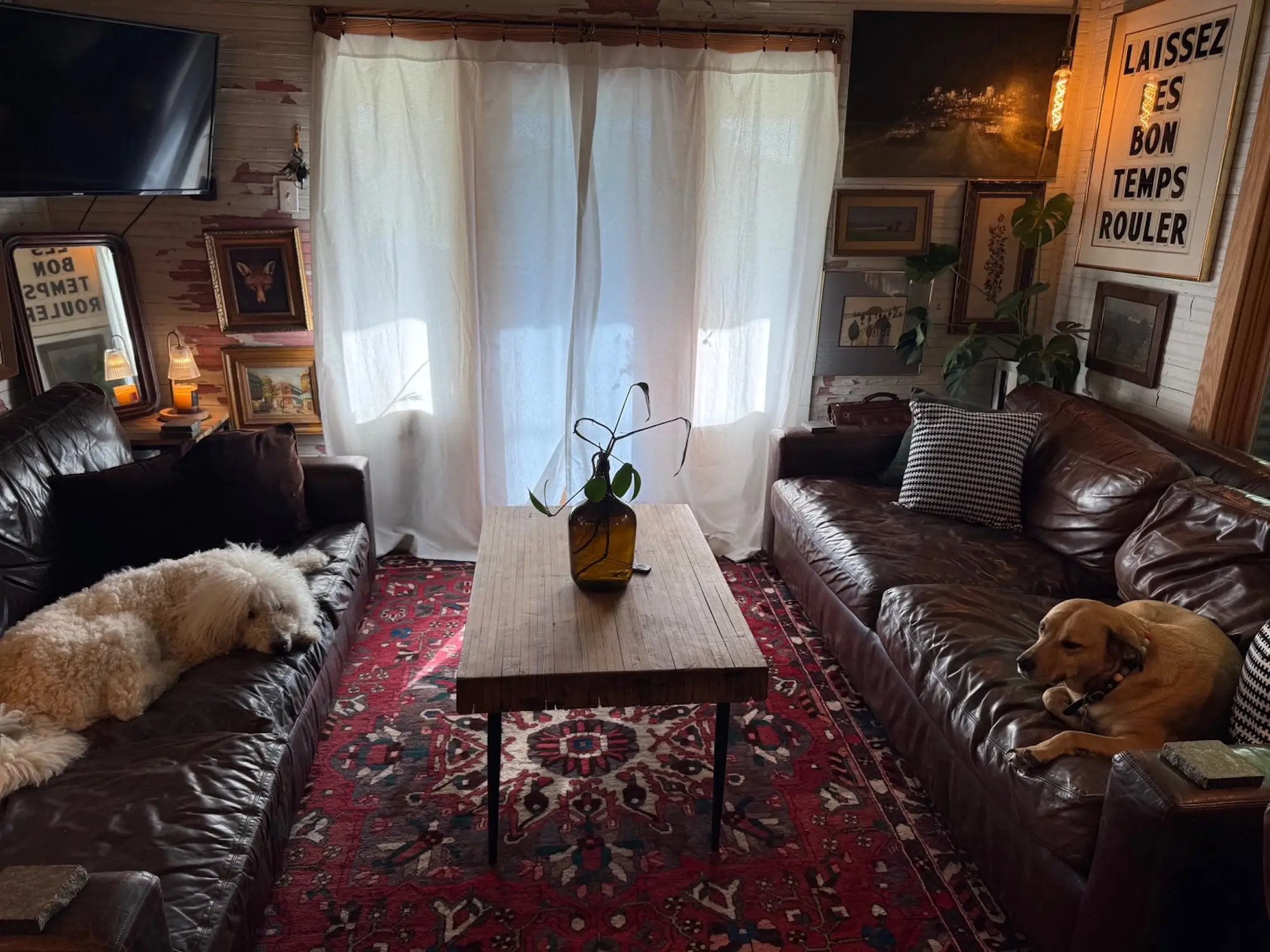 A living area with two couches. A dog sits on each couch.
