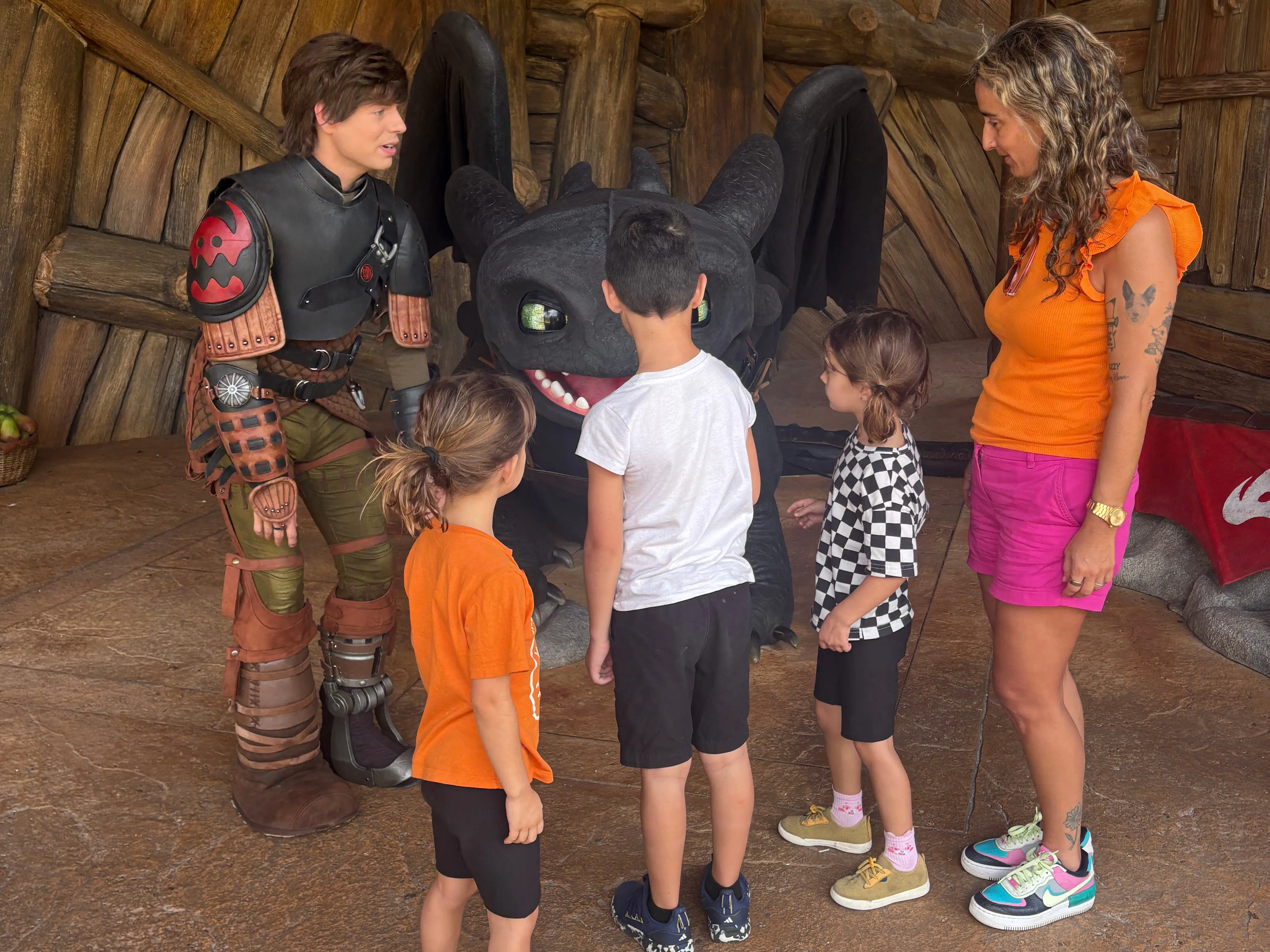 Family meeting Toothless