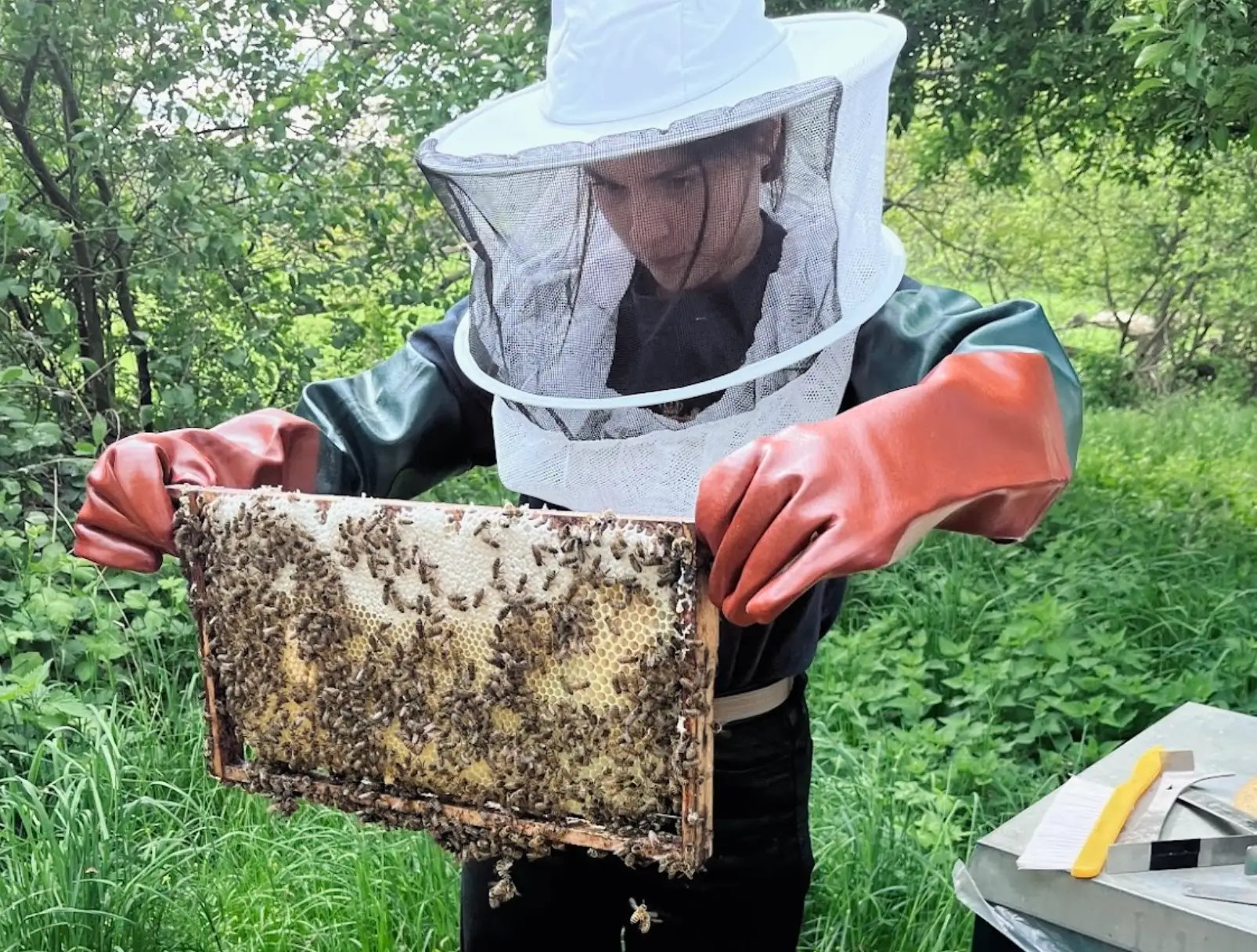 The writer in a beekeeping outfit, holding a honeycomb with many bees.