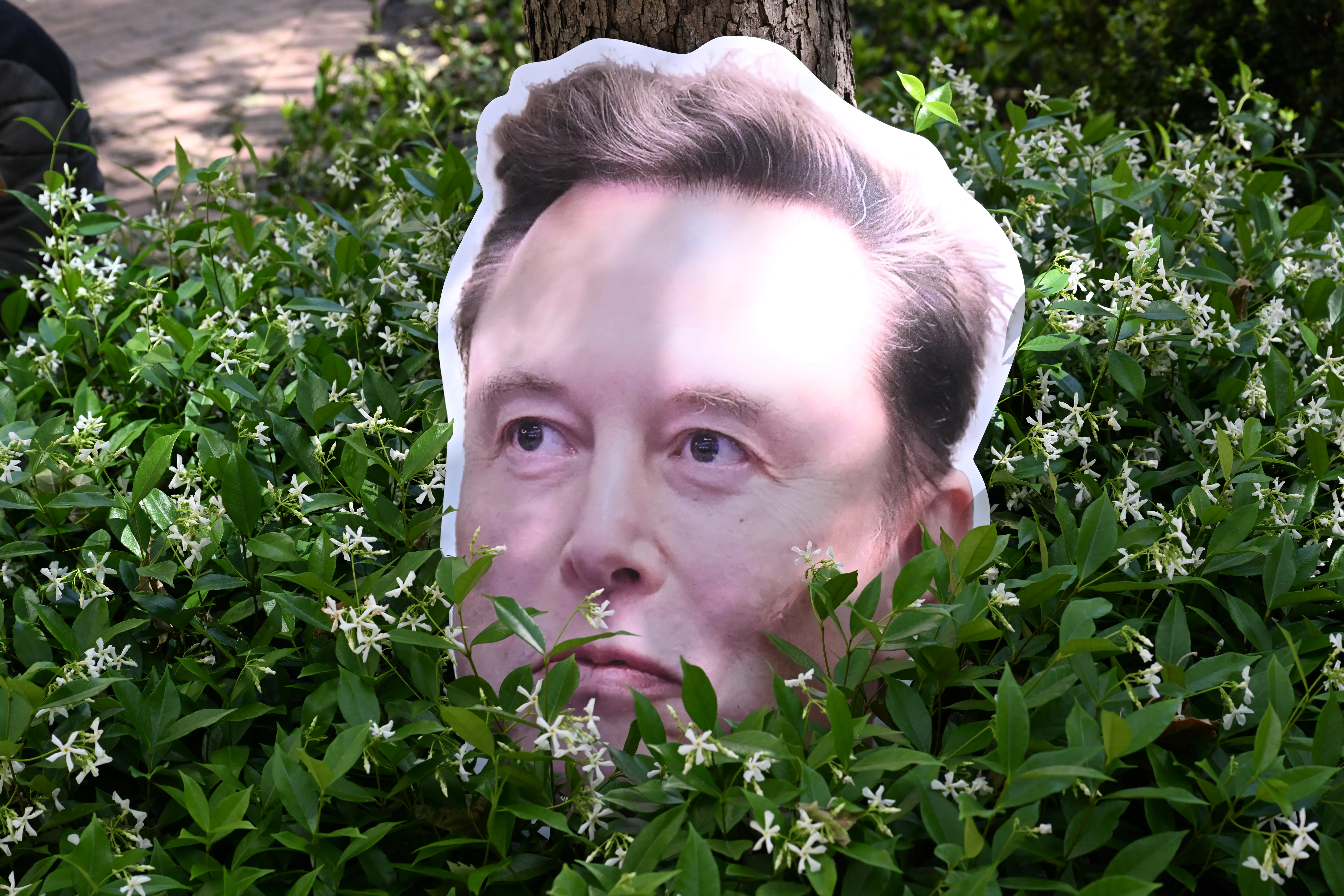 An Elon Musk sign sits in a bush outside the federal courthouse.