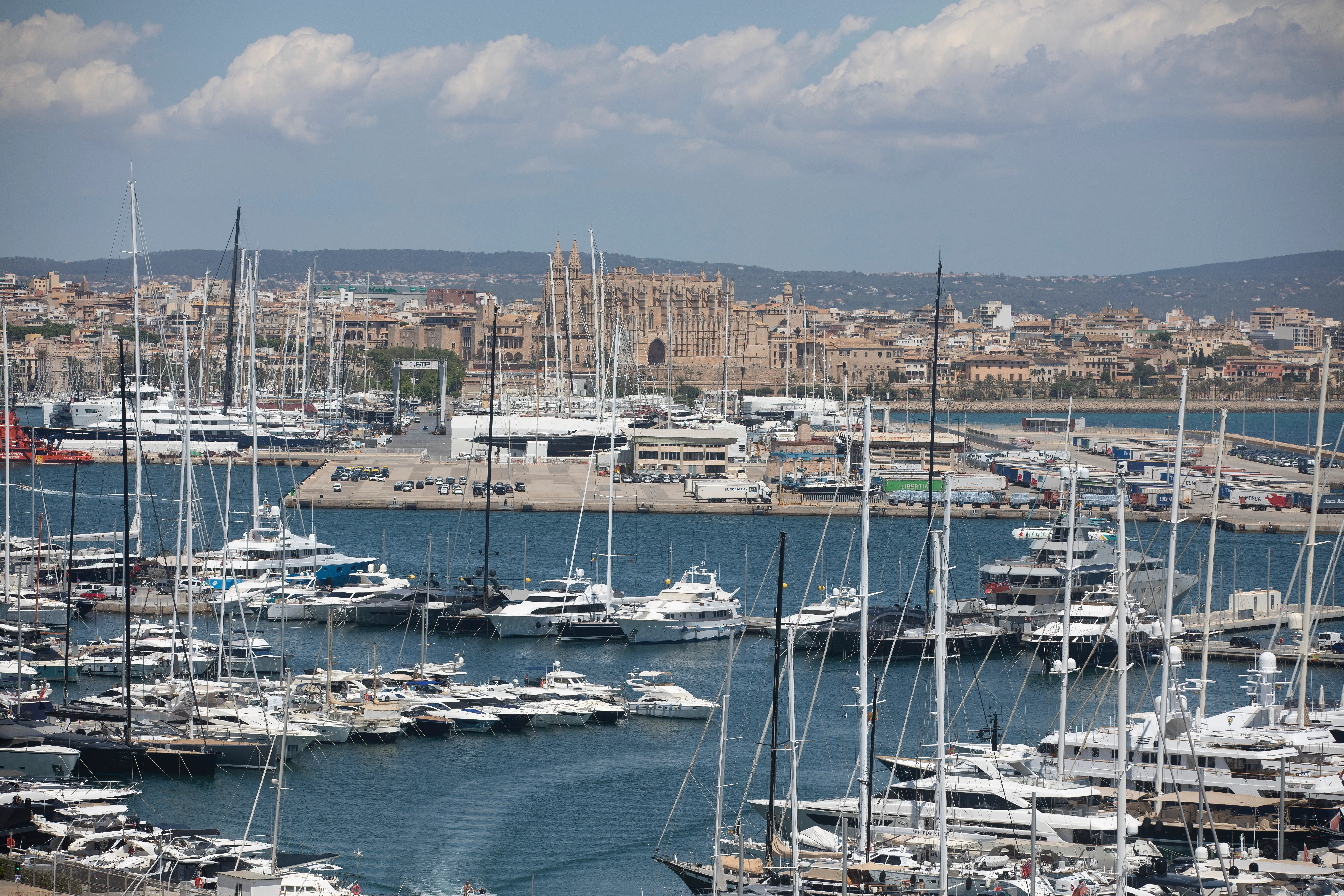 palma