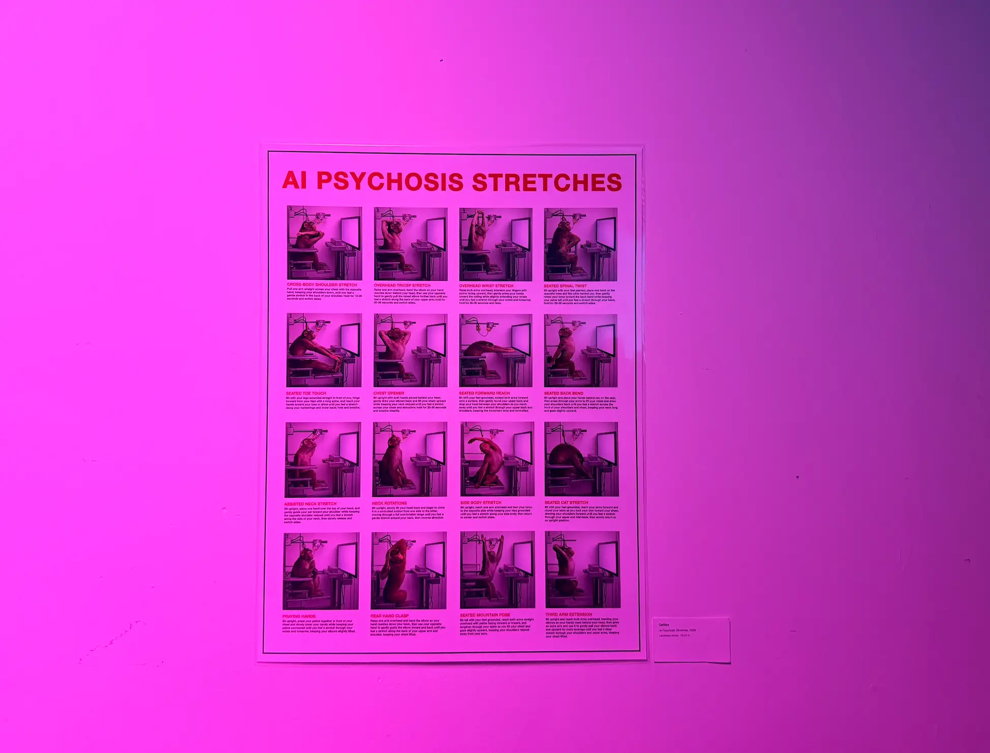 Poster at the event
