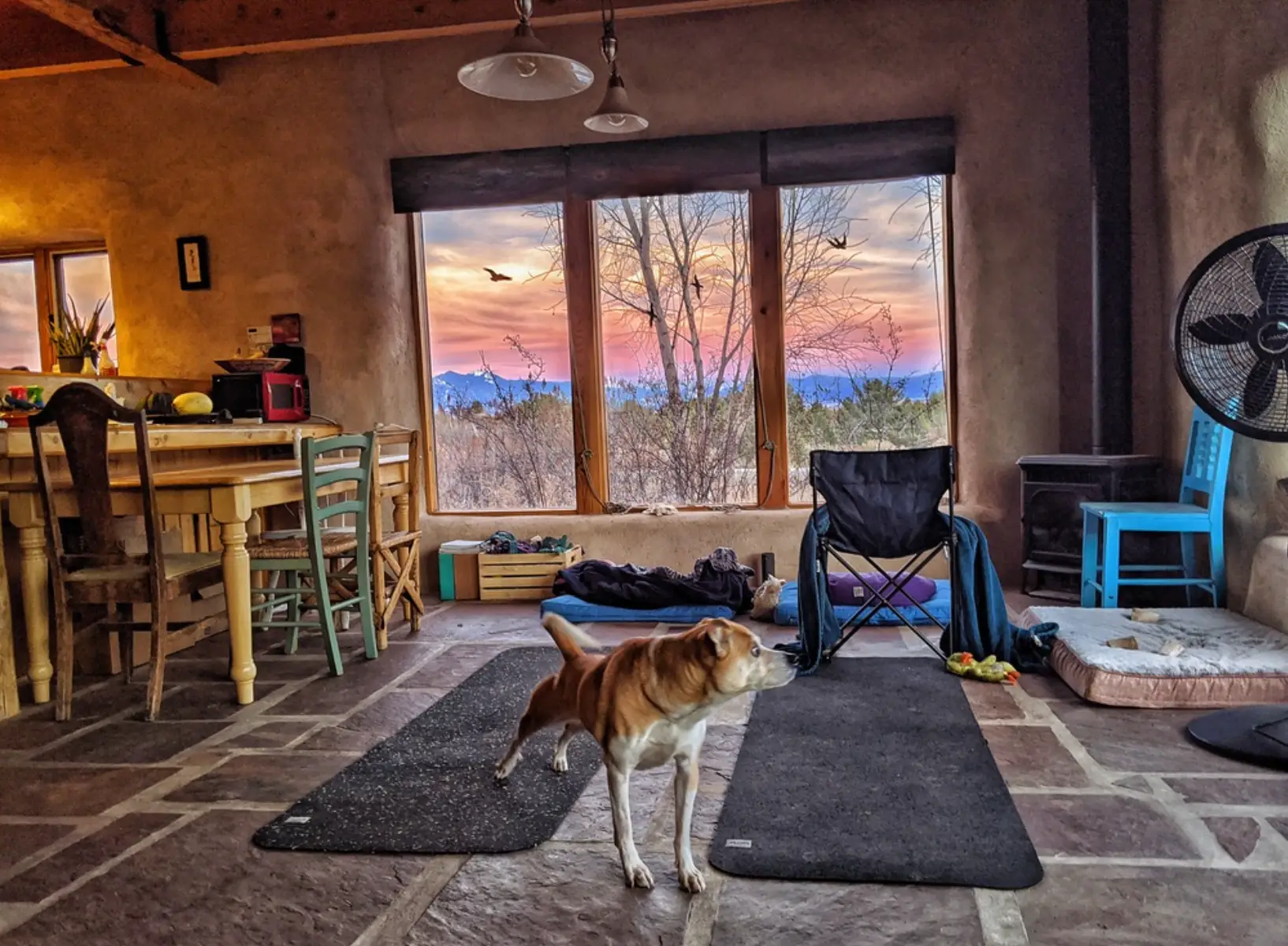 The interior of an off-grid home with a dog sitting on a mat and the sunset showing through the window.