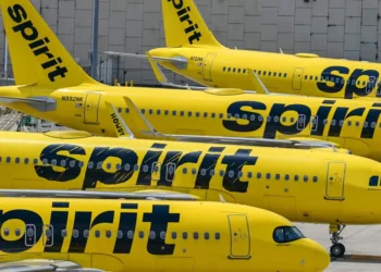 A Spirit Airlines fan has launched Spirit 2.0, a crowdsourcing effort to buy the airline: ‘The people can own it’