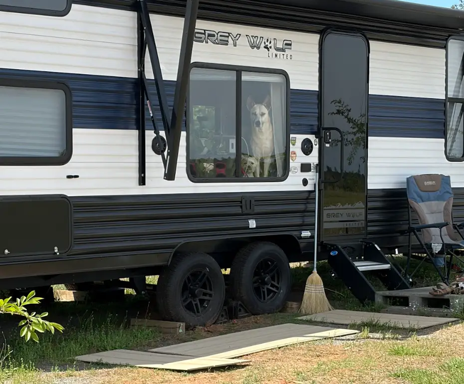The exterior of a camper van with two dogs staring out the window.
