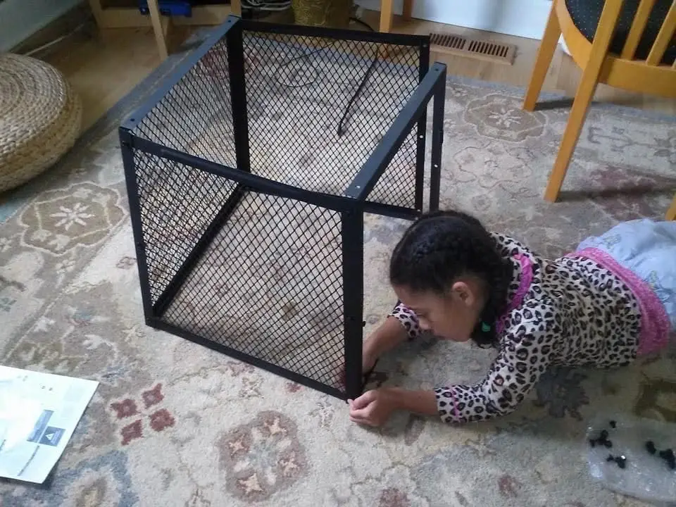 Girl building fire pit