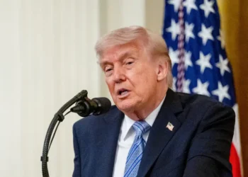 Trump is weighing AI oversight. This is what smart people are saying about it.