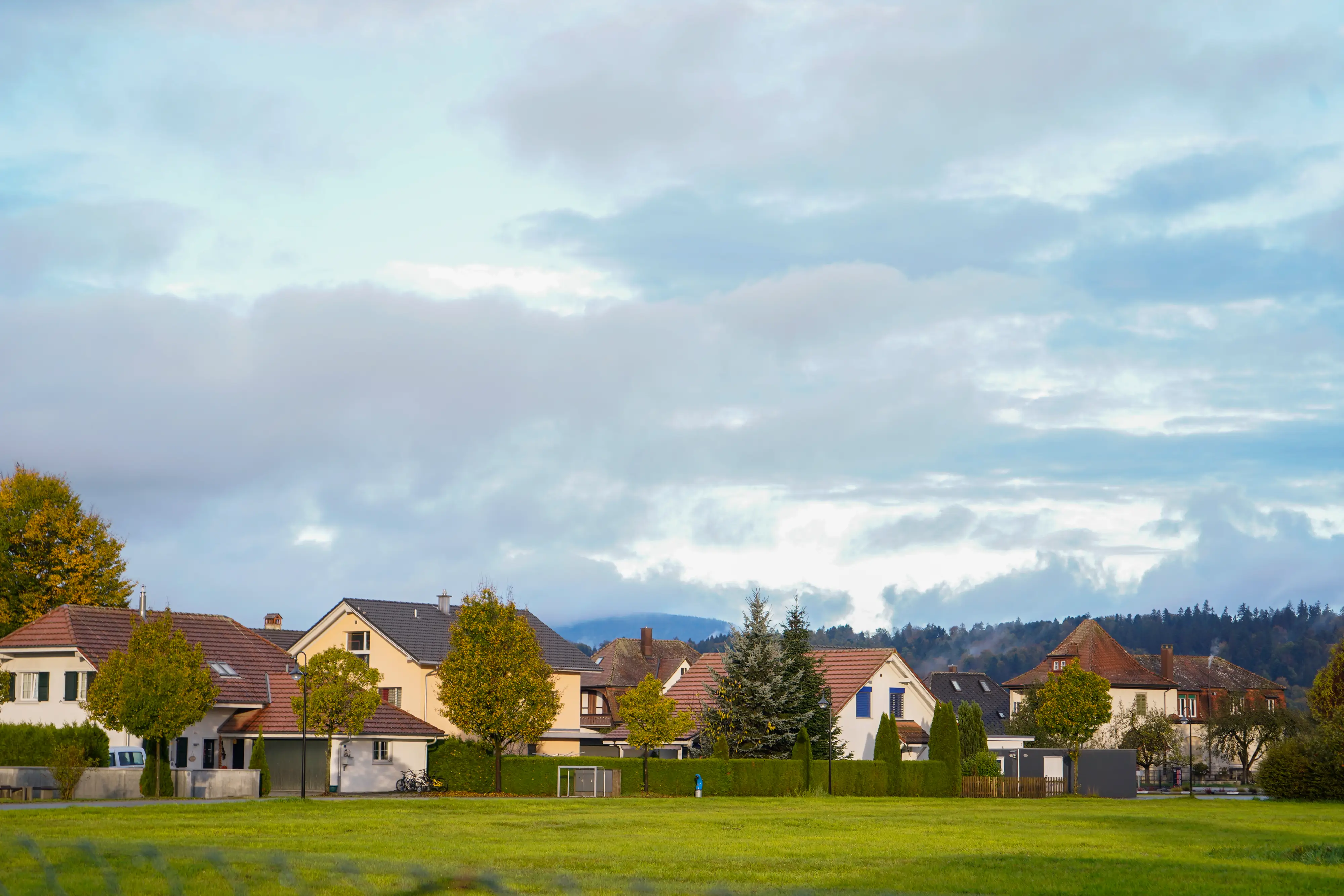 Homes and trees in Roggwil, Switzerland