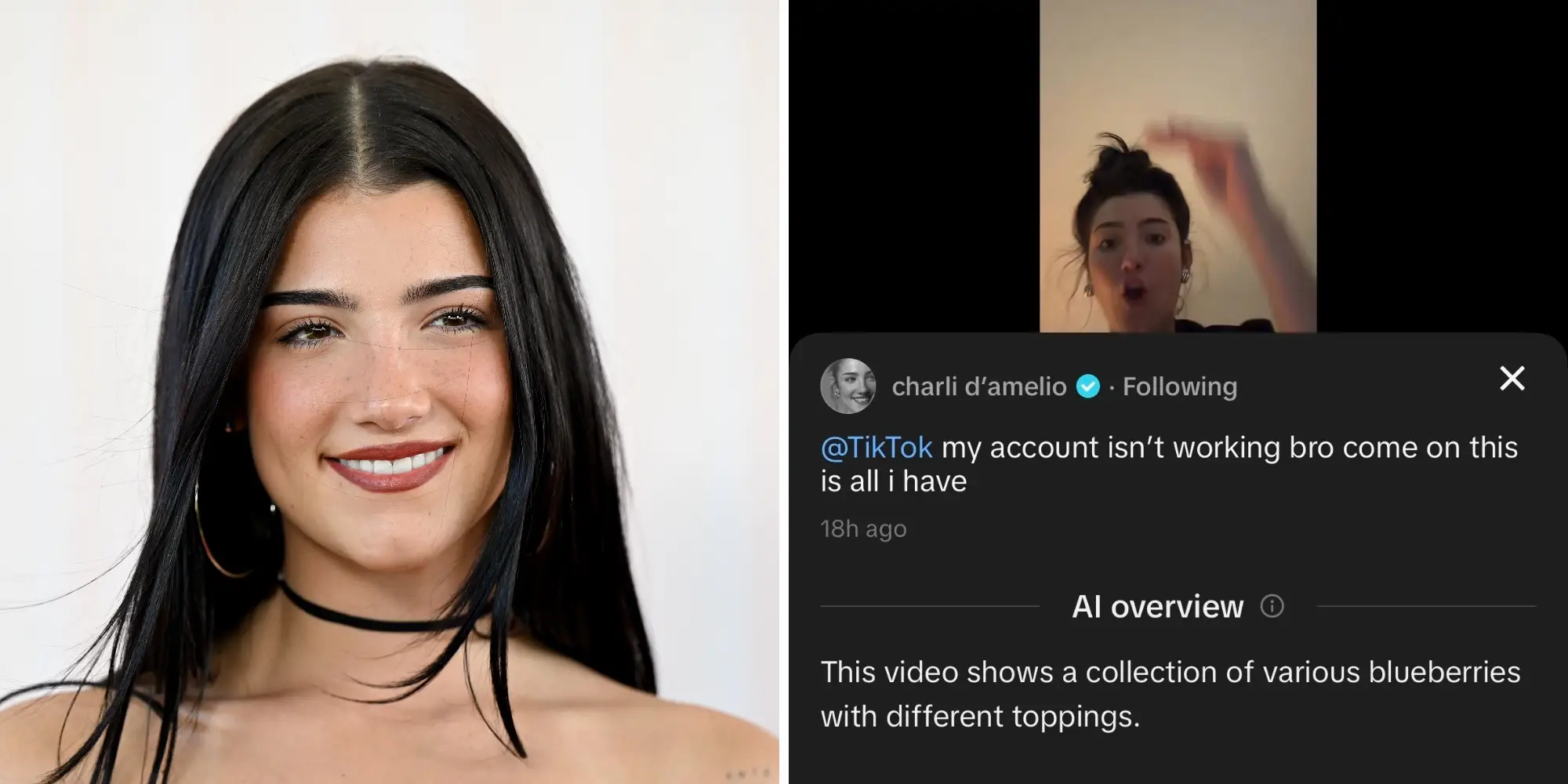 An image of Charli D'Amelio smiling appears next to a screenshot of an AI overview of her TikTok account.