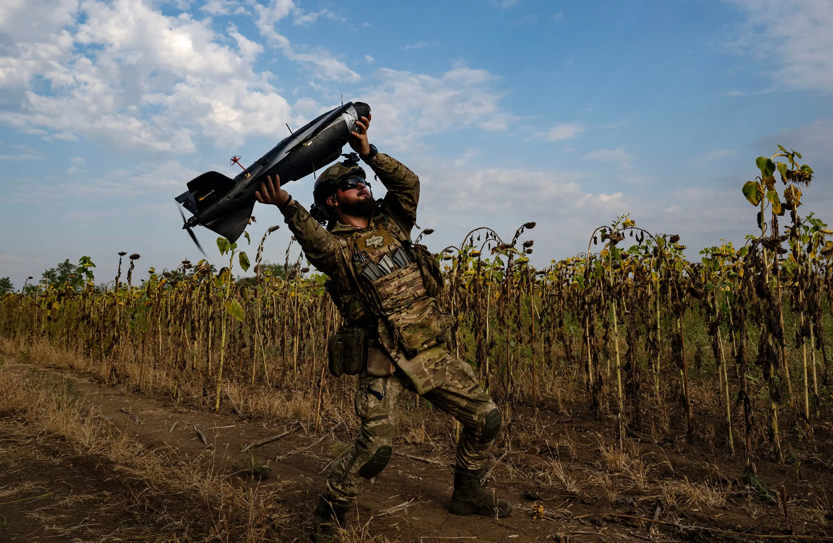 A man in camouflage gear and a helet launches a dark grey drone in the air under a blue sky and in a field of withered sunflowers