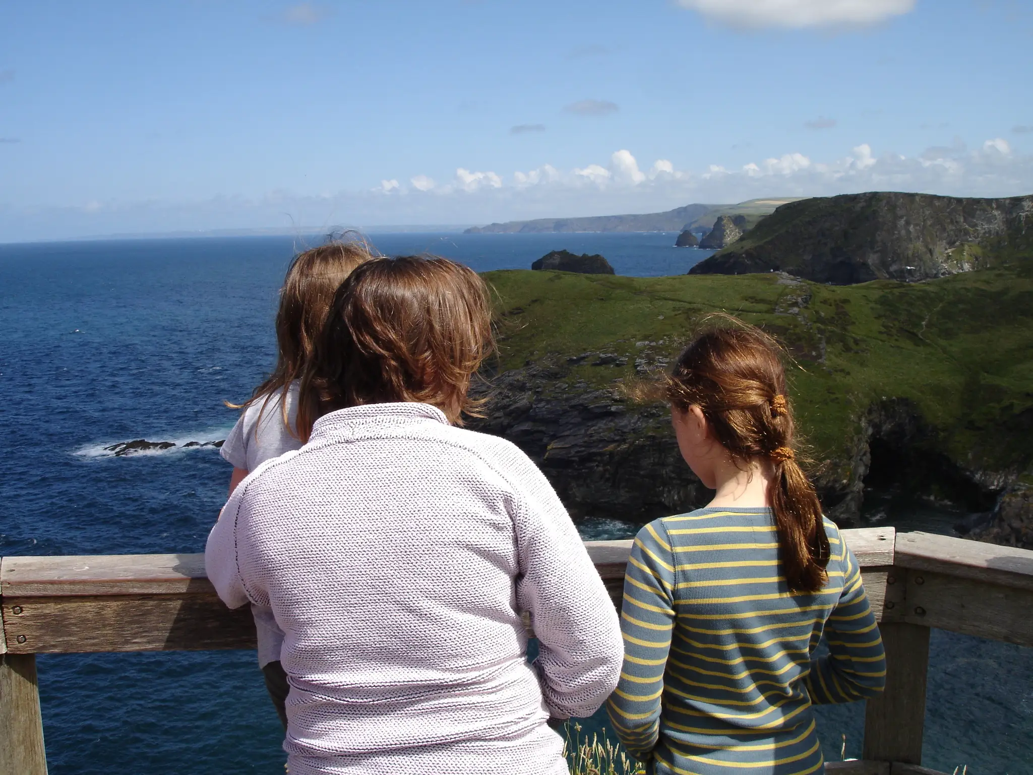 The author and her family look over a cliff.