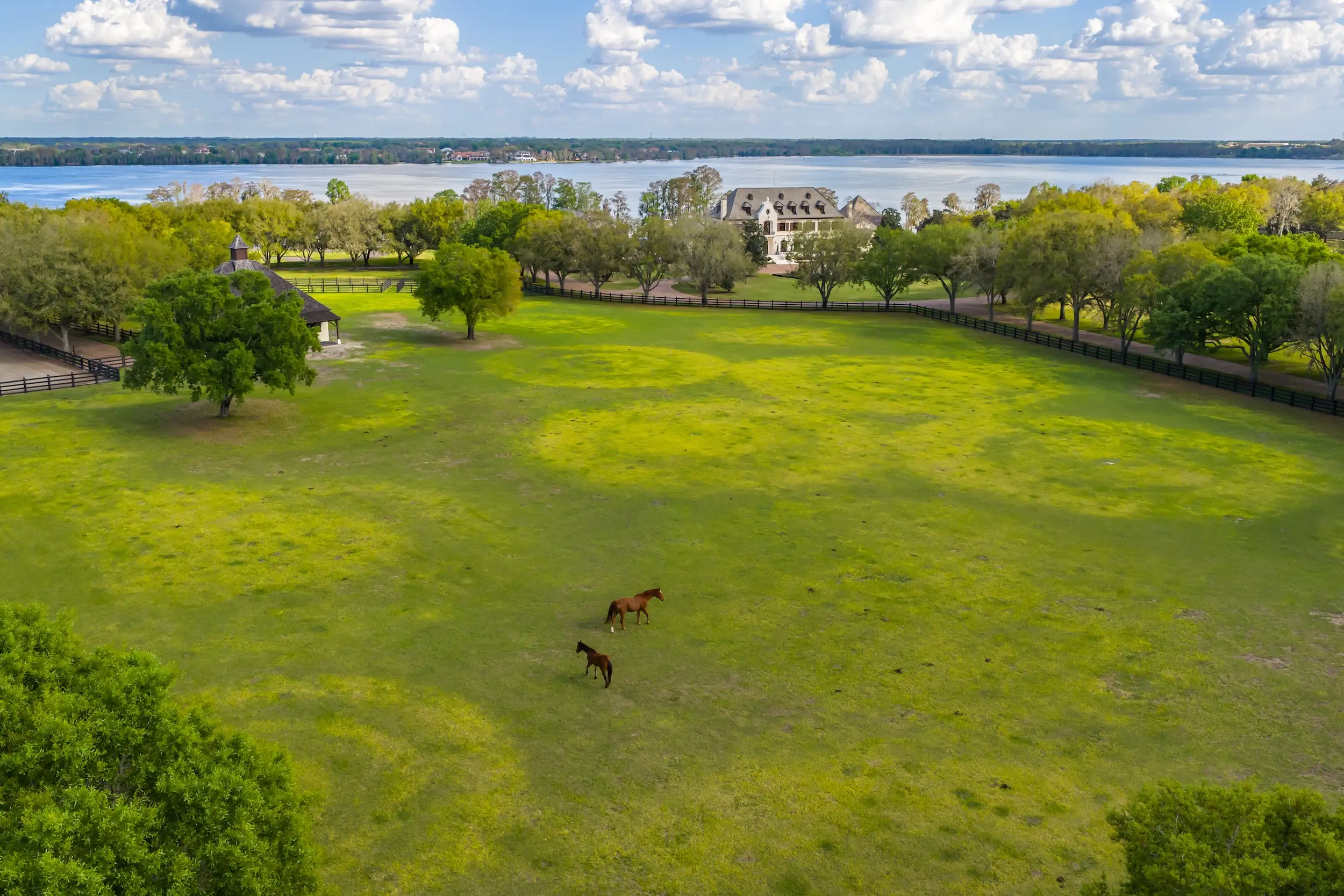 An aerial view of a wide open grassy space with horses.