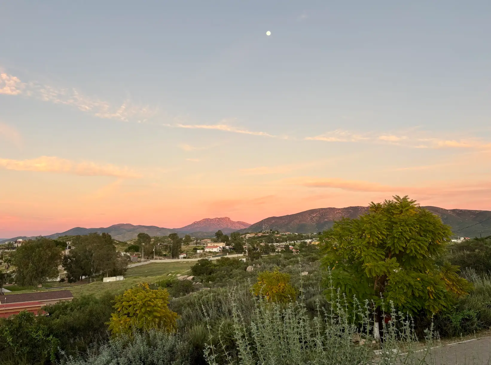 The view of a sunset over trees and a valley in Valle de Guadalupe, Mexico.