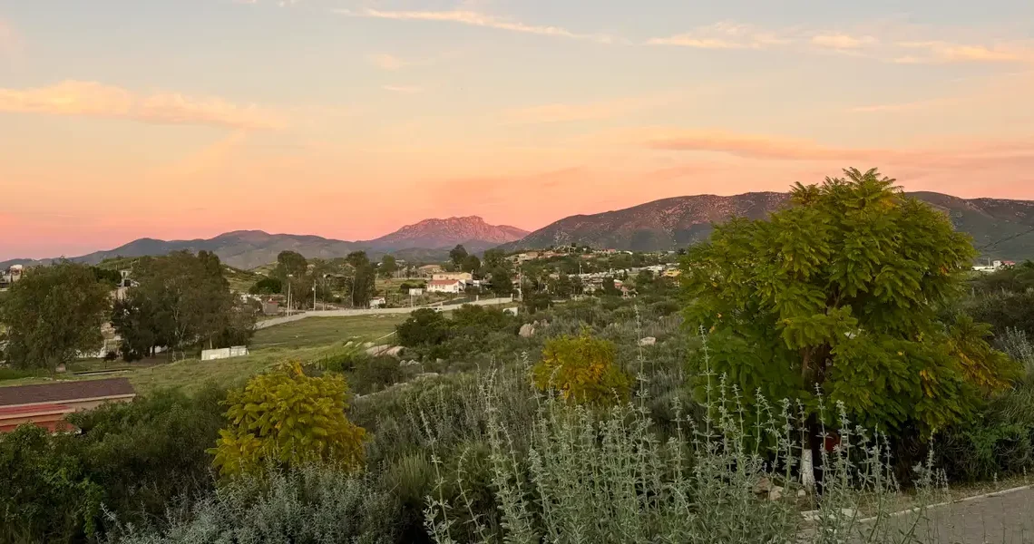I’m a sommelier and travel advisor. There’s just one wine region I’m telling everyone to visit this summer.