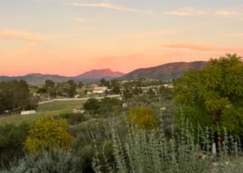 I’m a sommelier and travel advisor. There’s just one wine region I’m telling everyone to visit this summer.