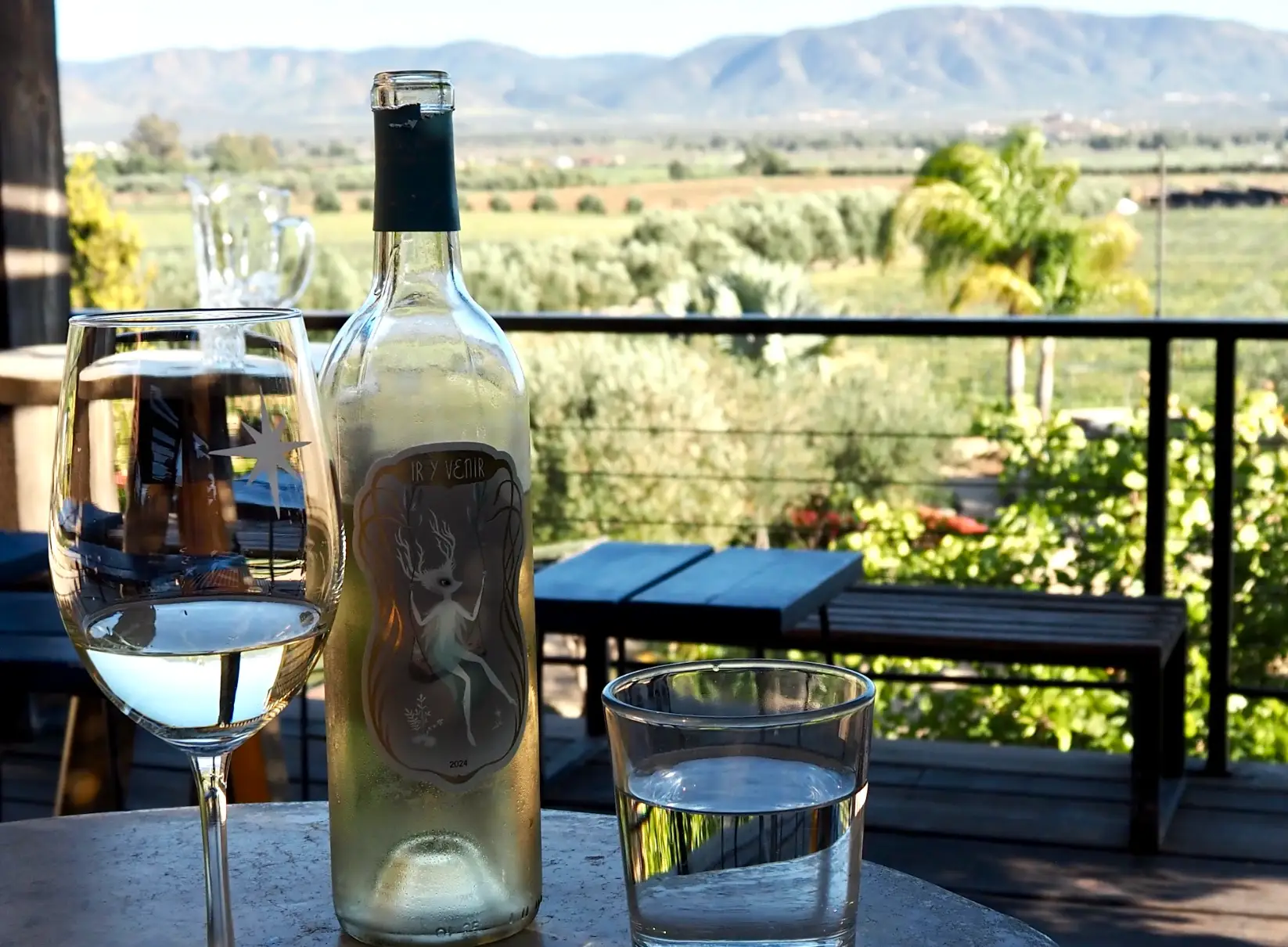 A glass and bottle of white wine on a table, overlooking a vineyard view at Finca La Carrodilla.