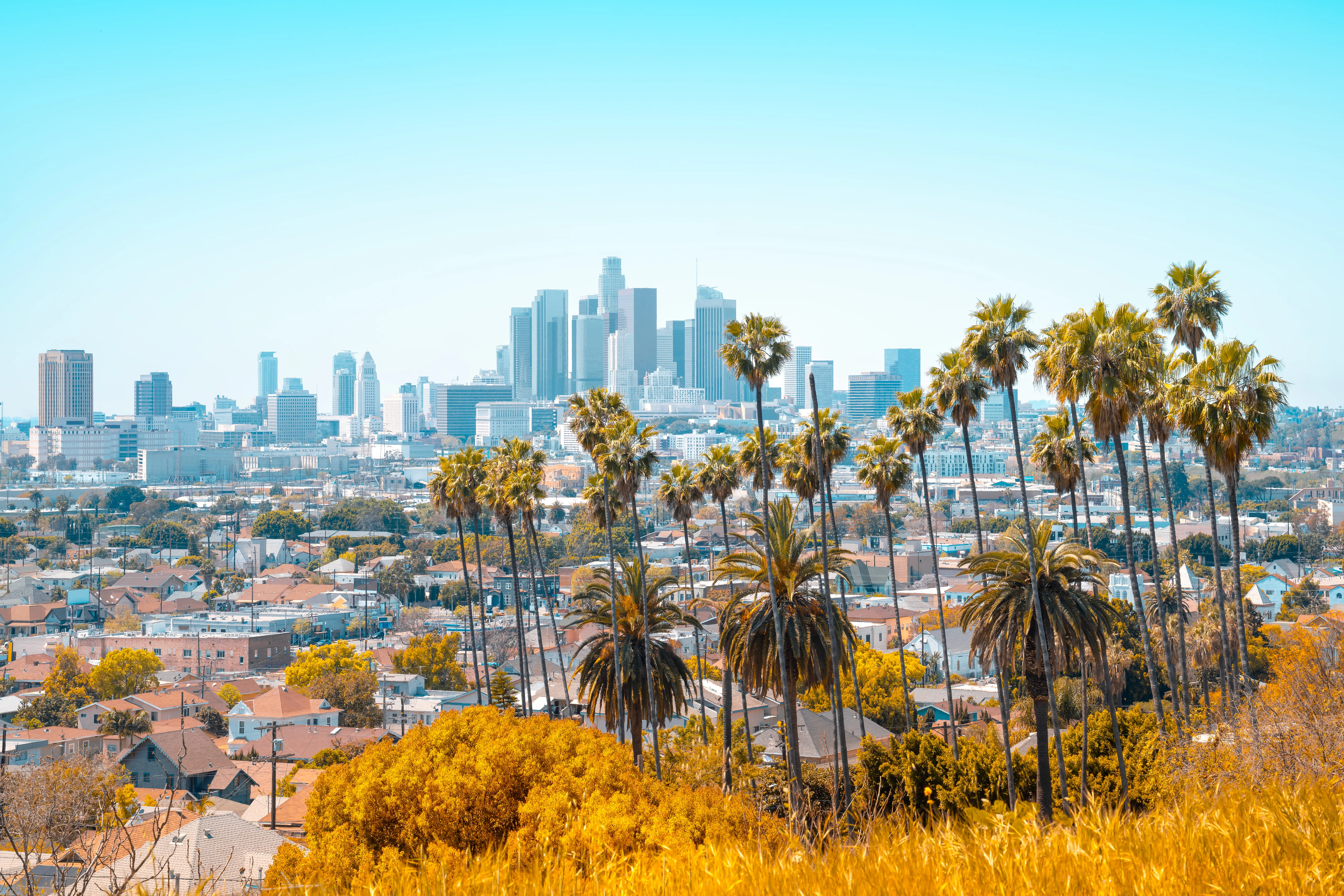 The skyline of Los Angeles.