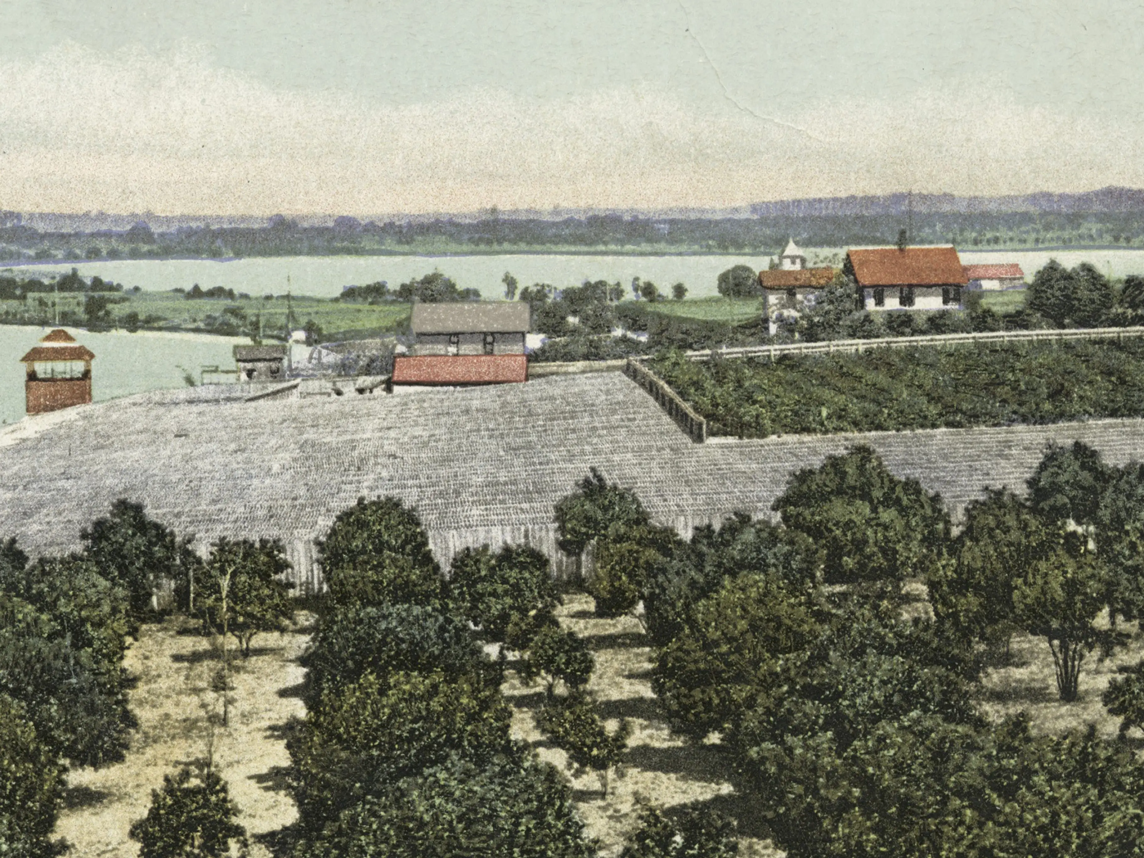 Farmland in Orlando from a postcard with houses and trees.