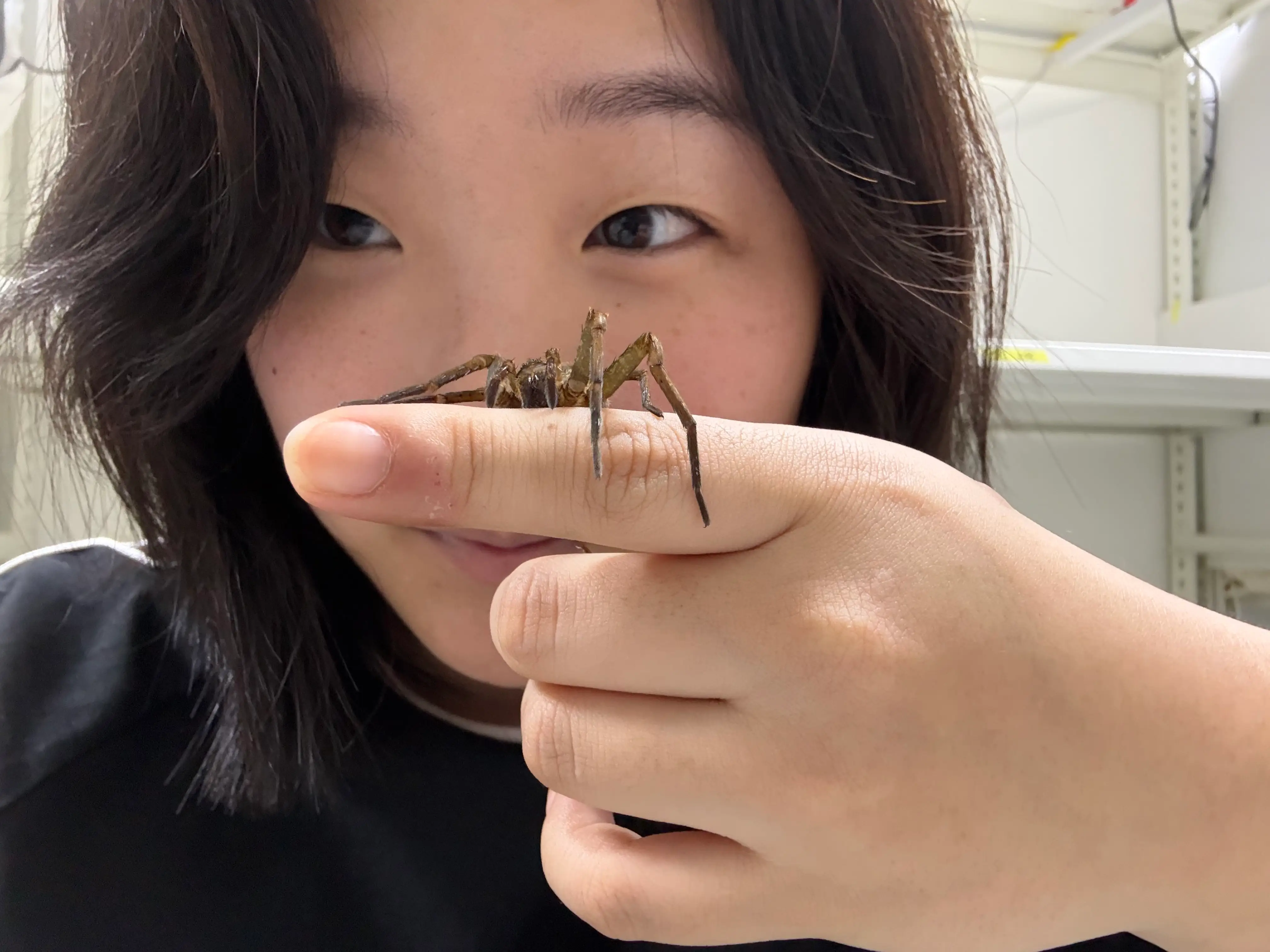 A woman posing with the spider she researches in her lab in South Korea.