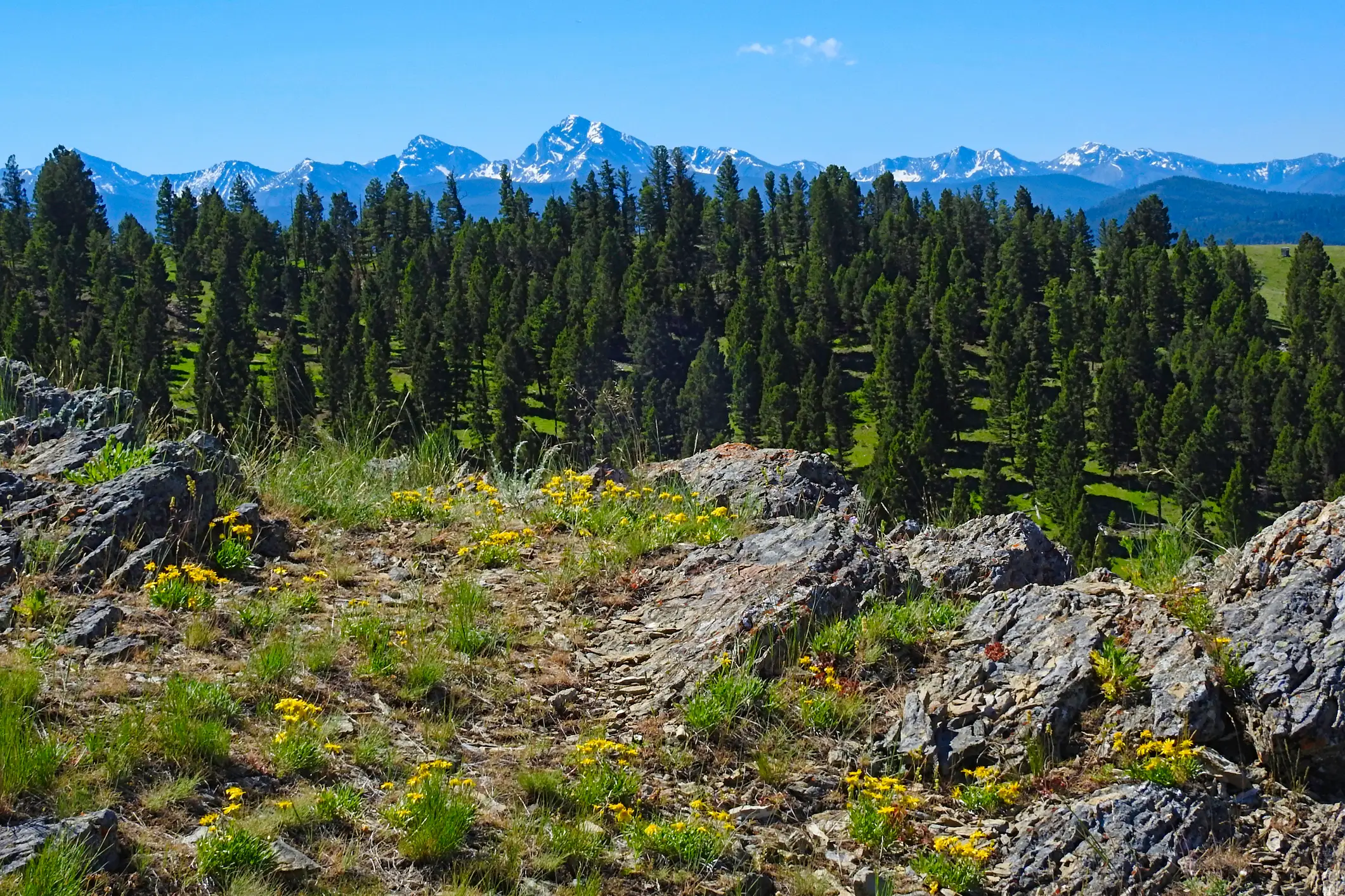 Philipsburg, Montana.