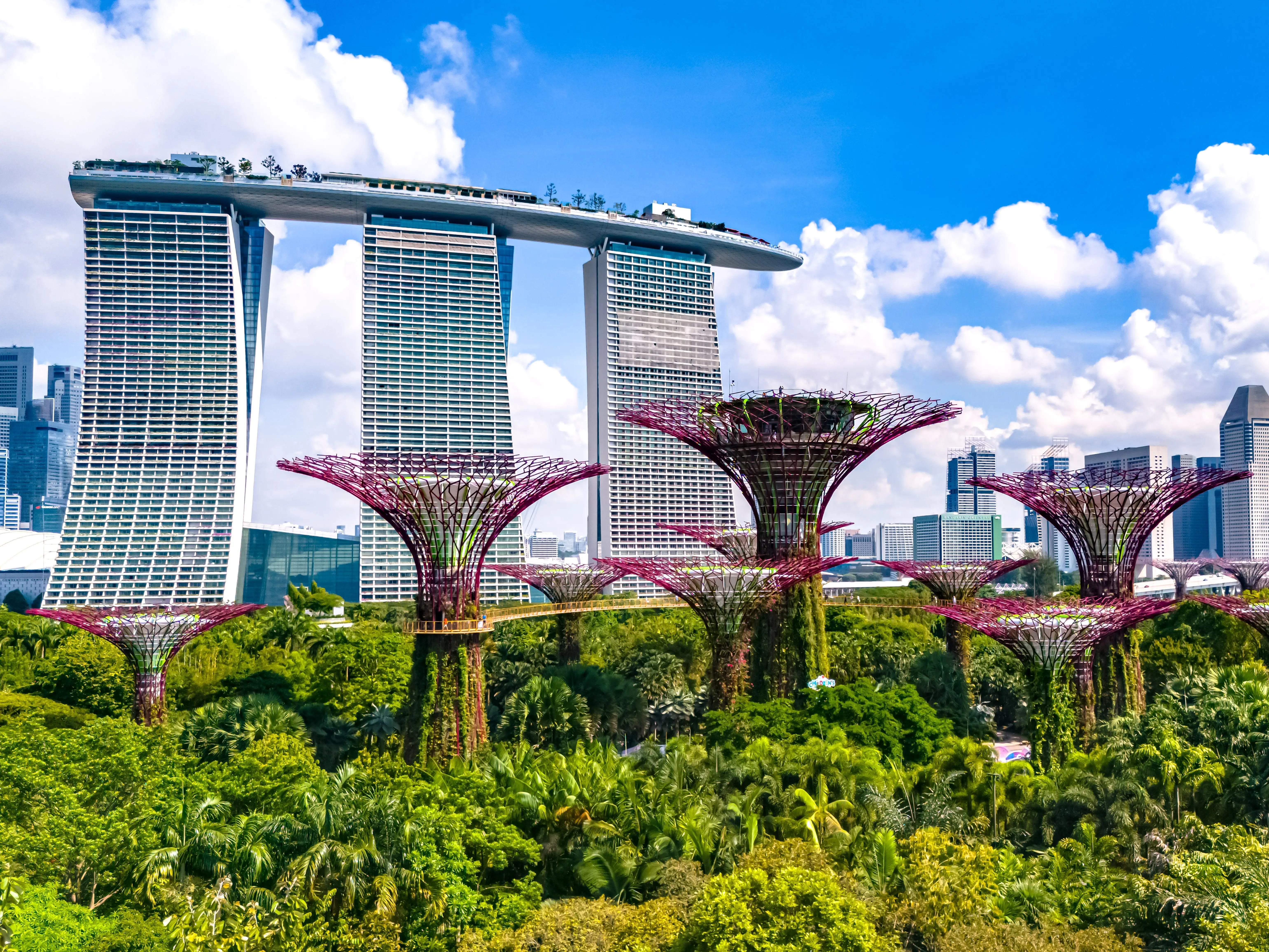 SINGAPORE - MAY 10, 2024: View of Gardens by the Bay and Marina Bay Sands in Singapore
