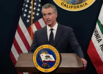 Gavin Newsom proposes a California digital software tax