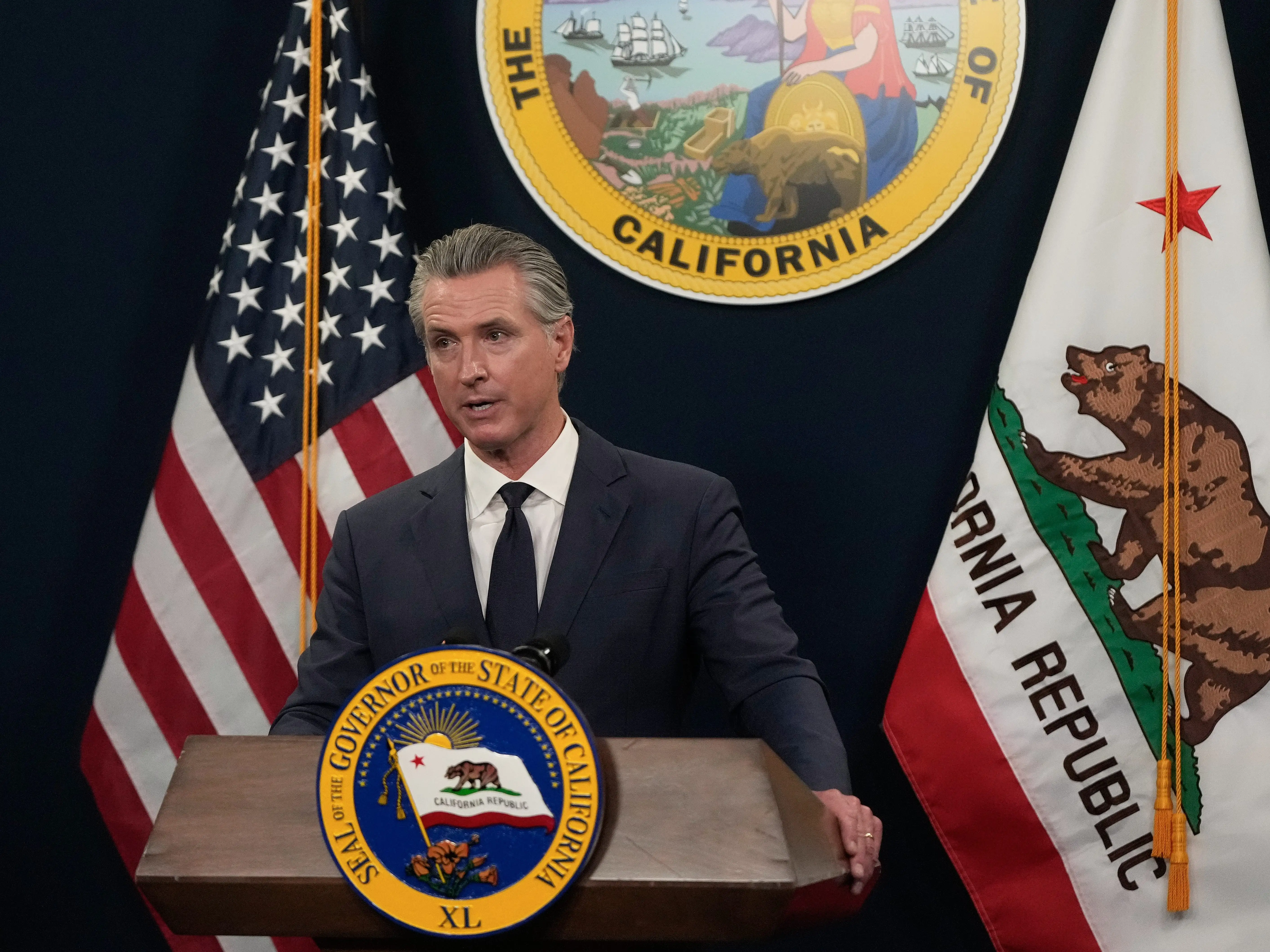 Gavin Newsom speaks to reporters