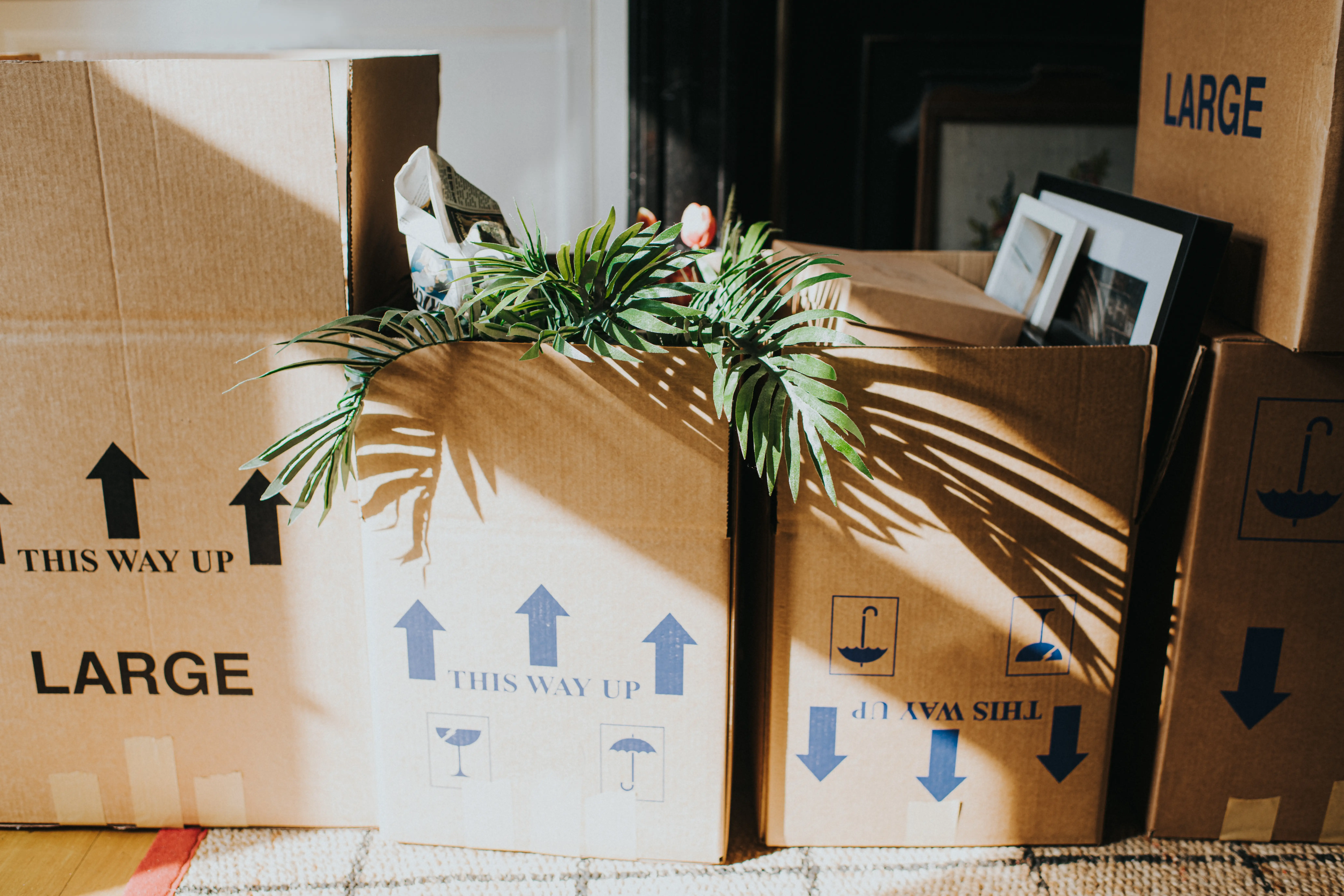 Moving boxes.