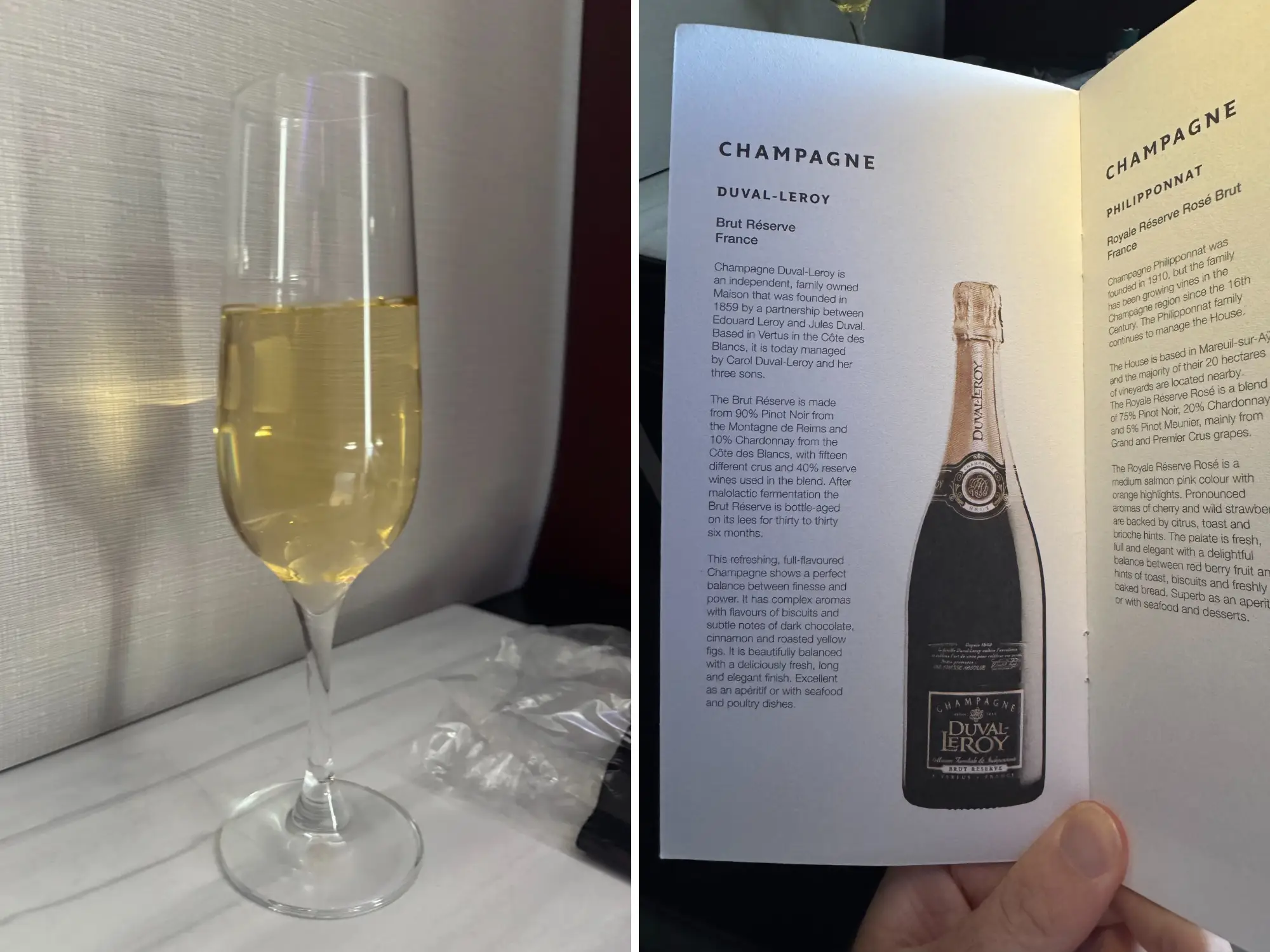 composite of glass of champagne and hand holding paper booklet about champagne