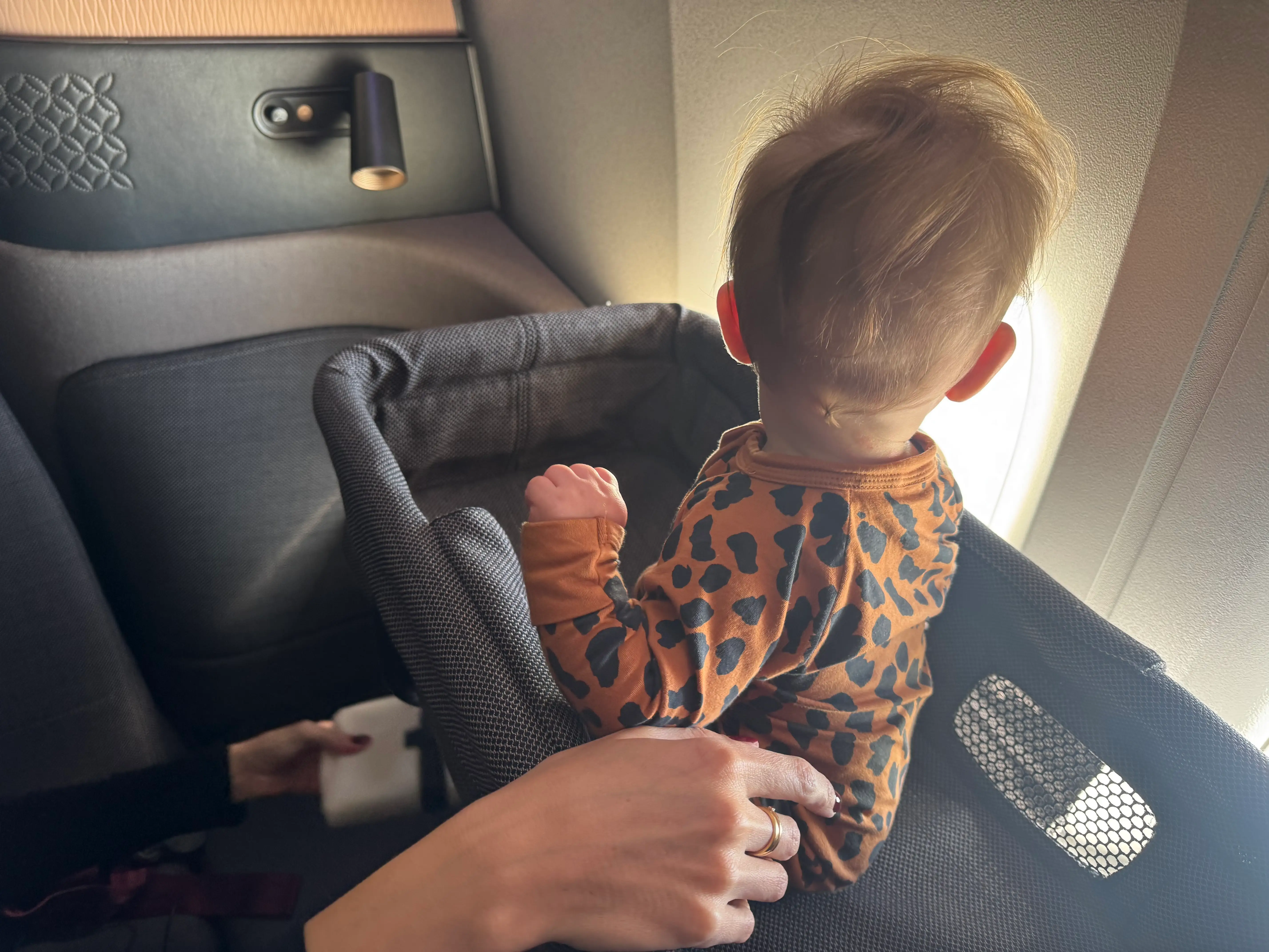 Baby in bassinett on flight looking out of window