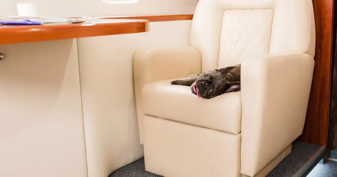 Inside the exclusive world of private jet travel — and what it says about the ultrawealthy