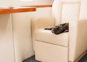 Inside the exclusive world of private jet travel — and what it says about the ultrawealthy