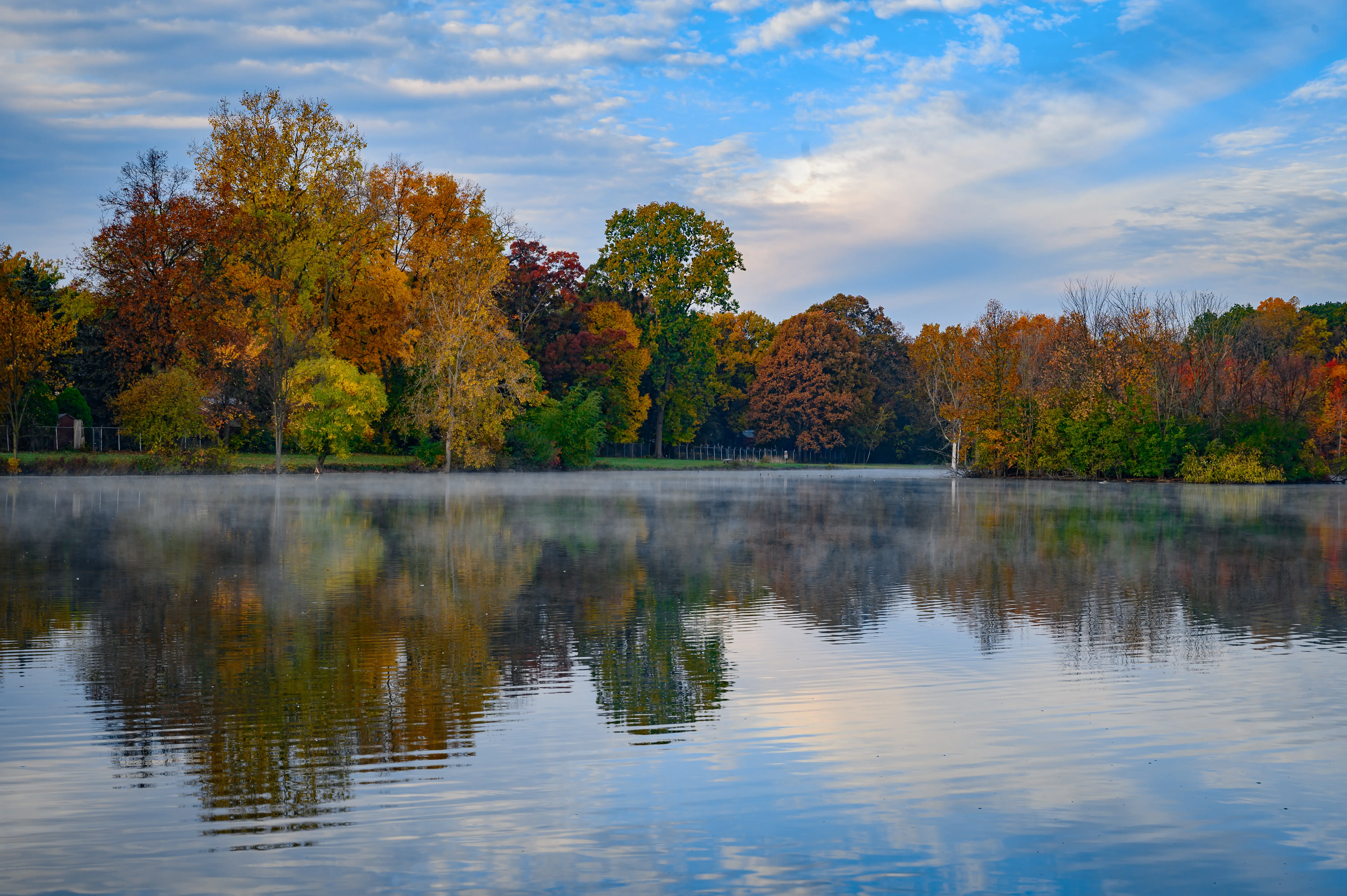 View of the lake by trees against the sky in Troy, Michigan.