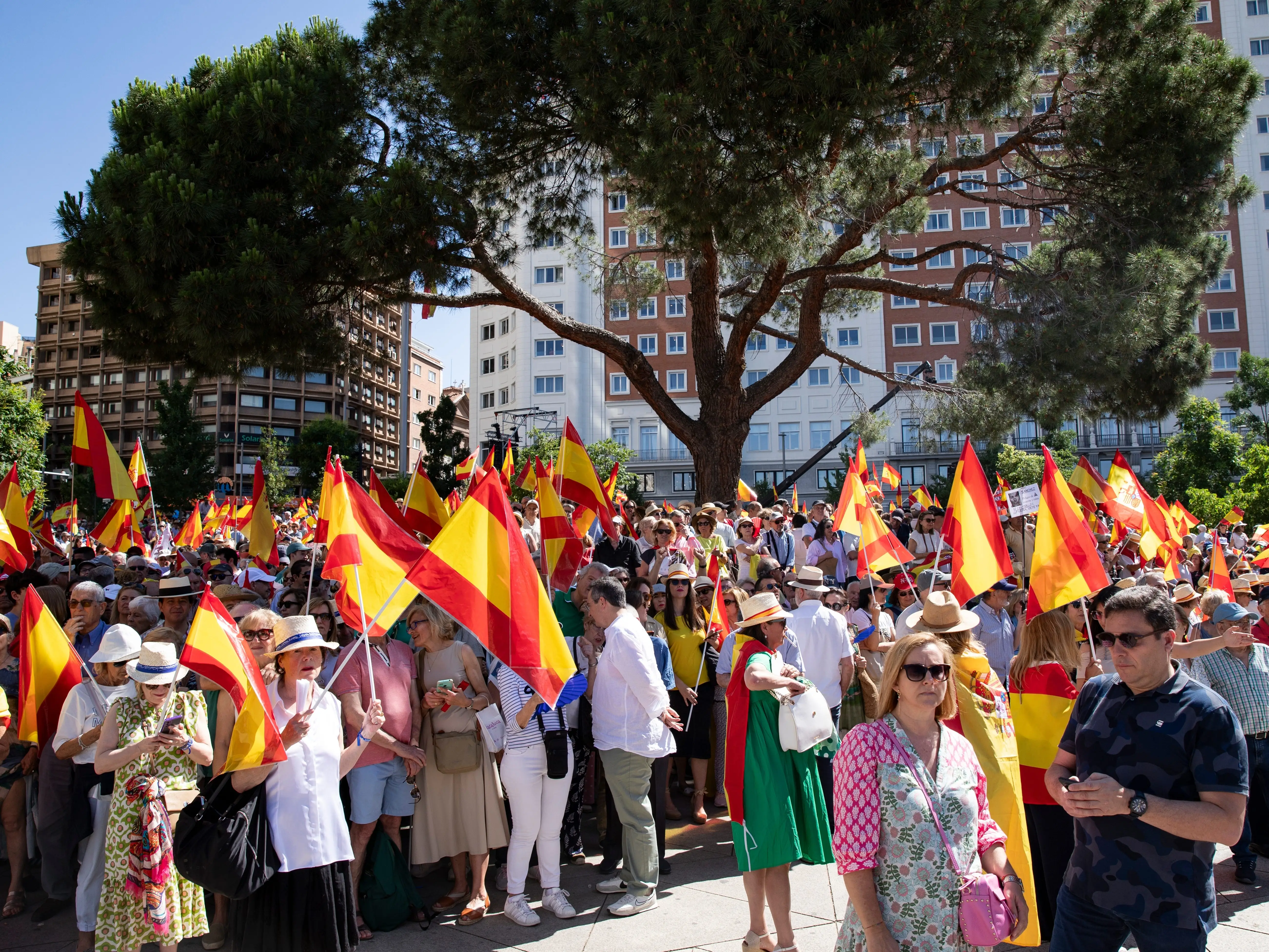 Crowd with national flags in Madrid, Spain.