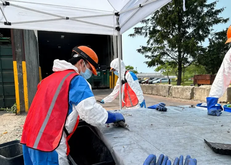 Stony Brook University researchers are teaching AI how to sort your recycling