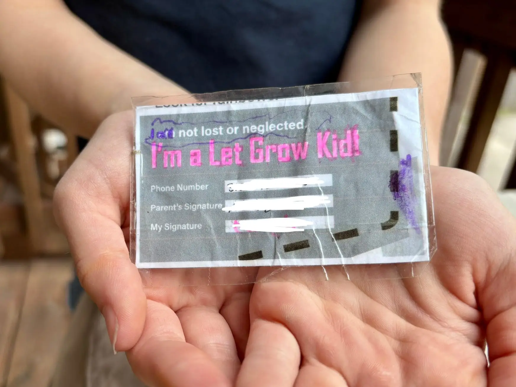 Let Grow kid license