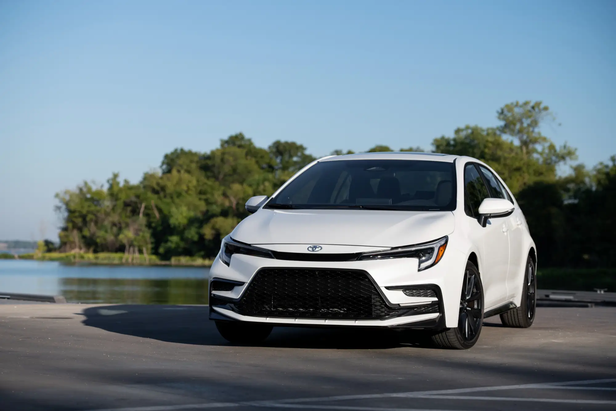 A white Toyota Corolla sedan faces the camera, parked next to a body of water.