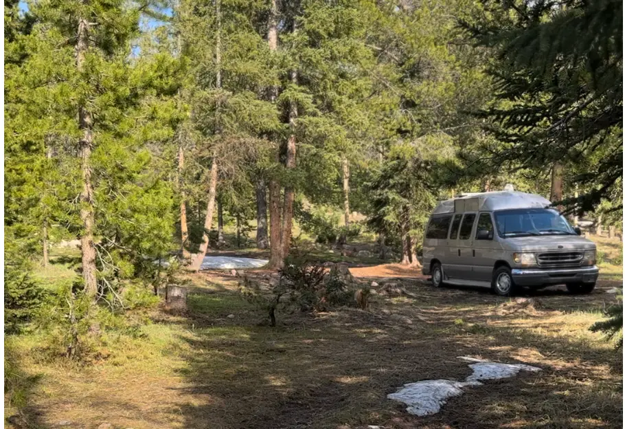 Van parked in wooded are
