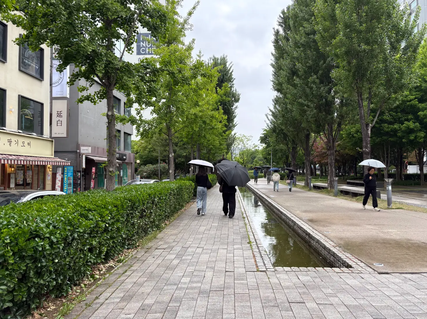 A tree-lined street in Yeonnam-dong, with several people holding umbrellas walking around.