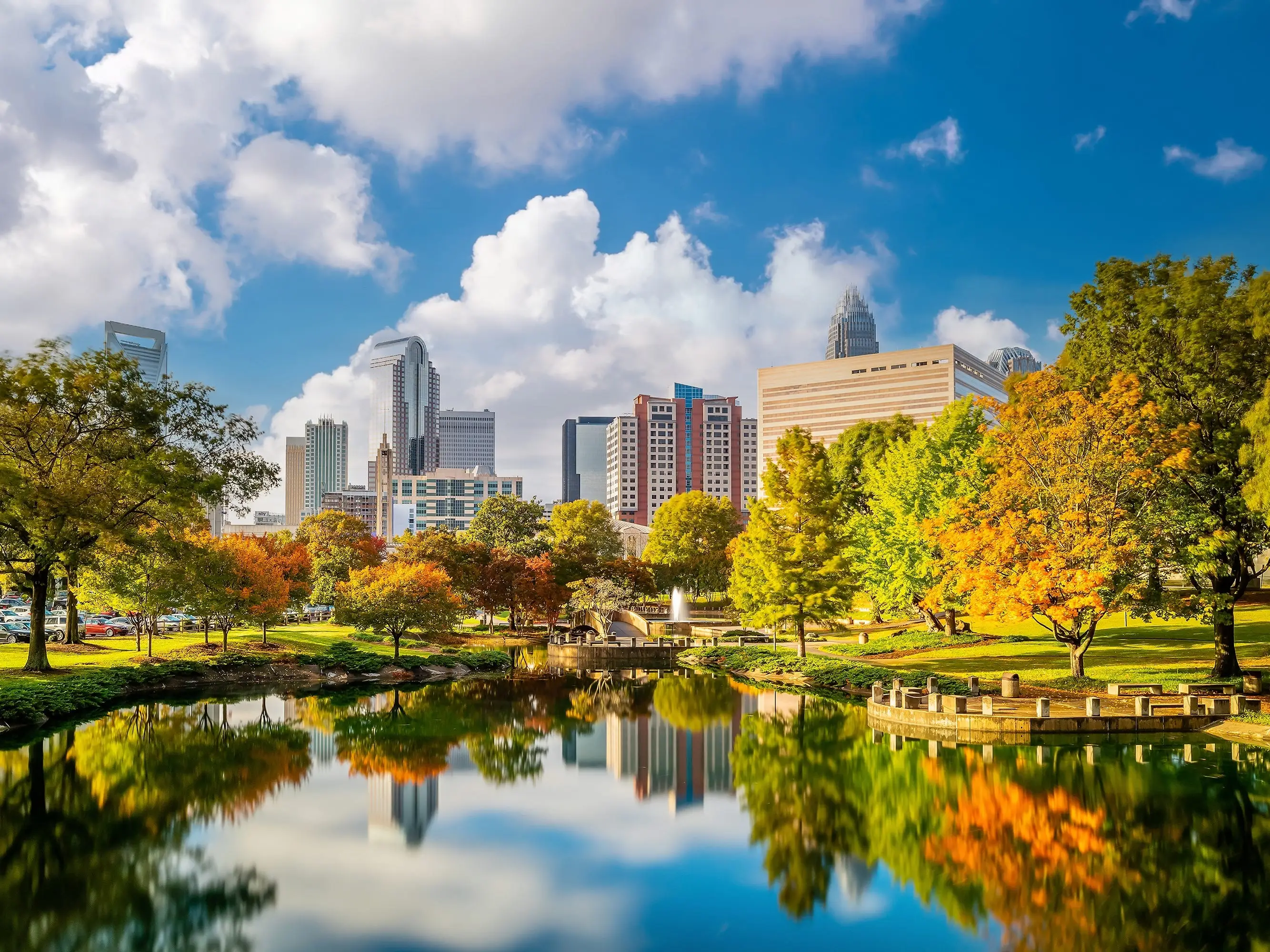 Trees and buildings in Charlotte, North Carolina.