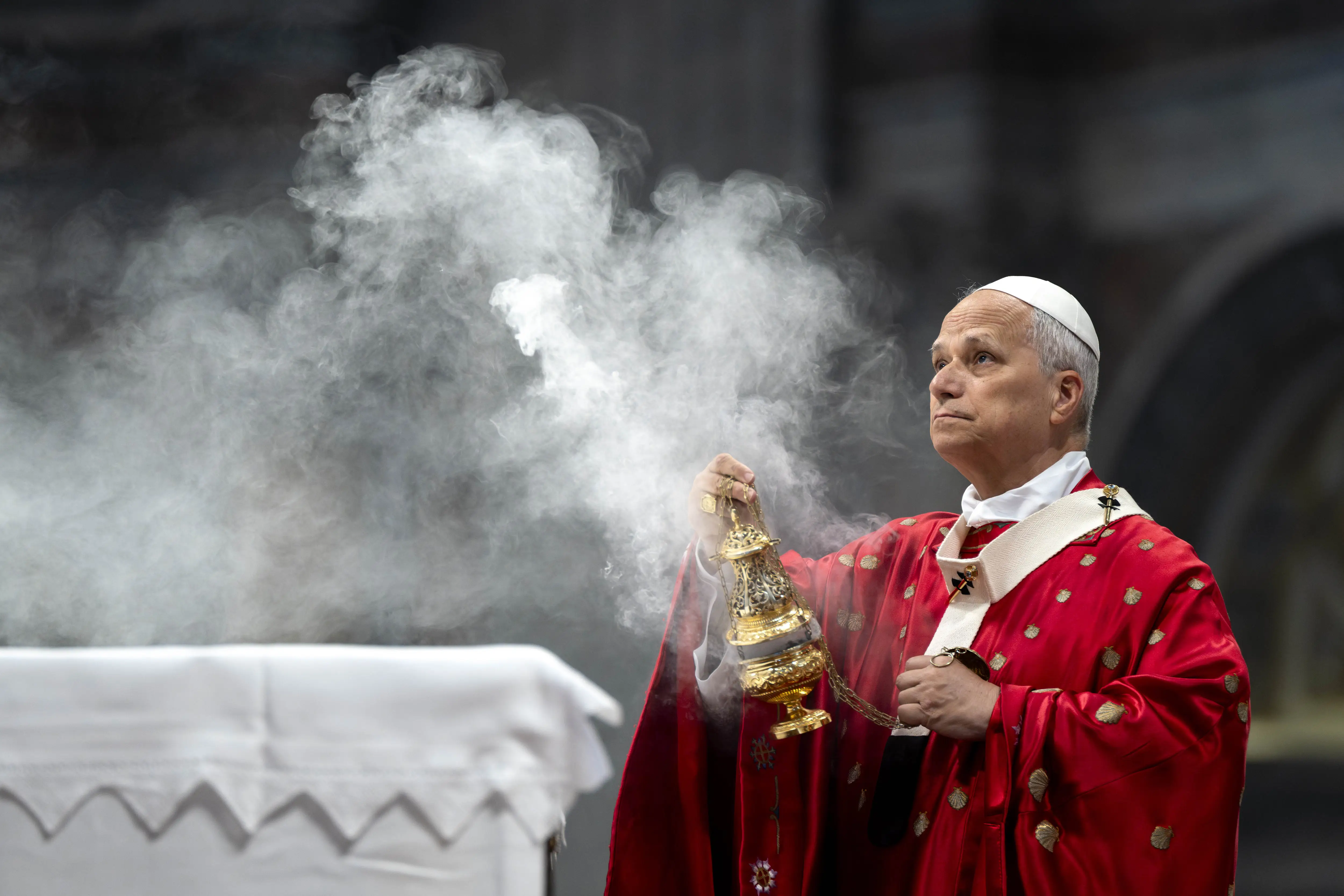Pope Leo XIV presides over Mass