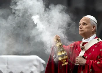 Silicon Valley takes its AI pitch to Pope Leo